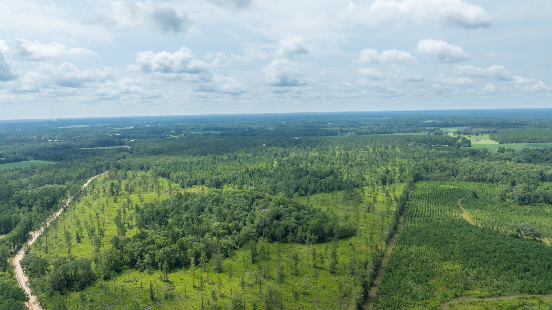 Image for 207+/- Acres in Lowndes County - Tremendous Development Potential