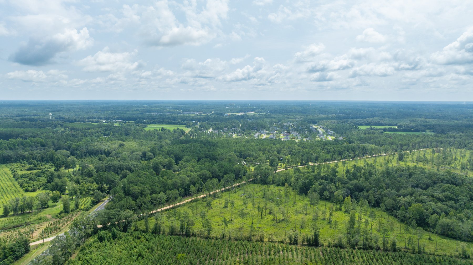 Image for 207+/- Acres in Lowndes County - Tremendous Development Potential