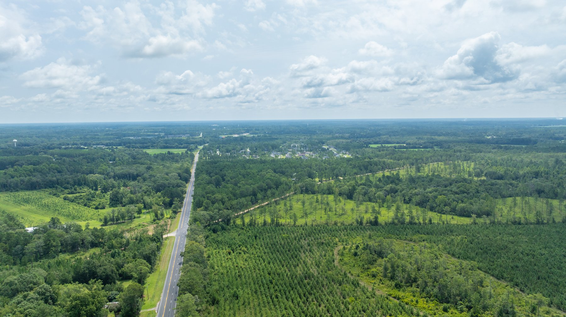 Image for 207+/- Acres in Lowndes County - Tremendous Development Potential
