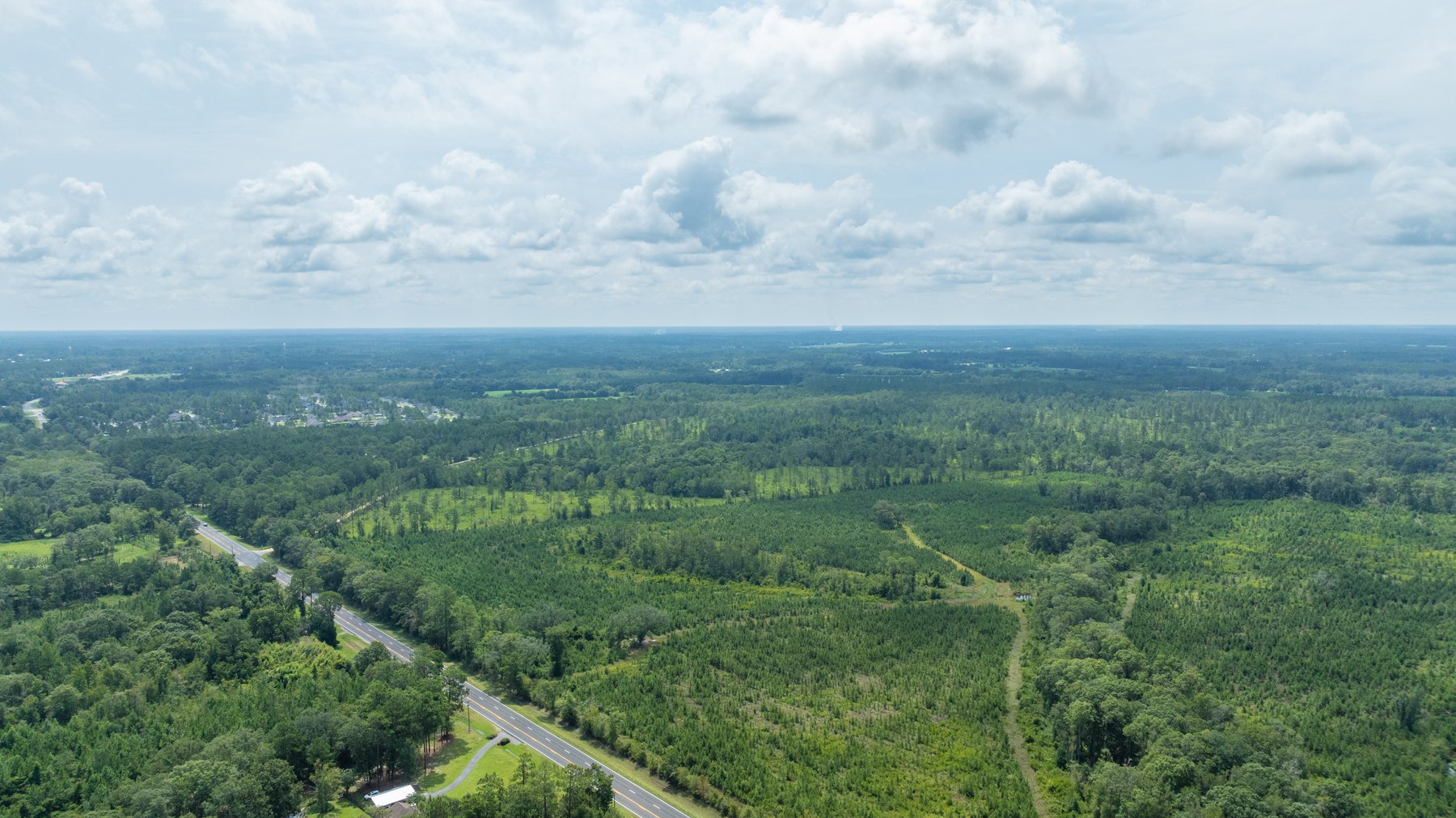 Image for 207+/- Acres in Lowndes County - Tremendous Development Potential