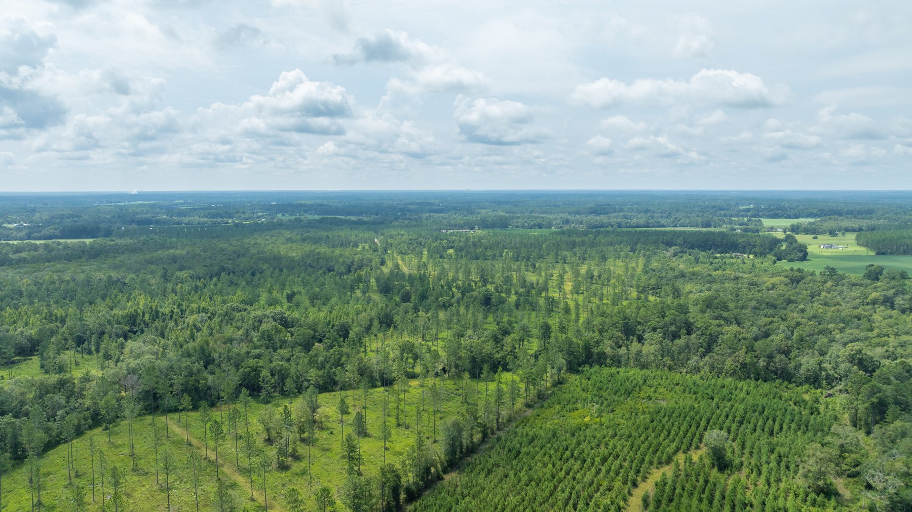 Image for 207+/- Acres in Lowndes County - Tremendous Development Potential