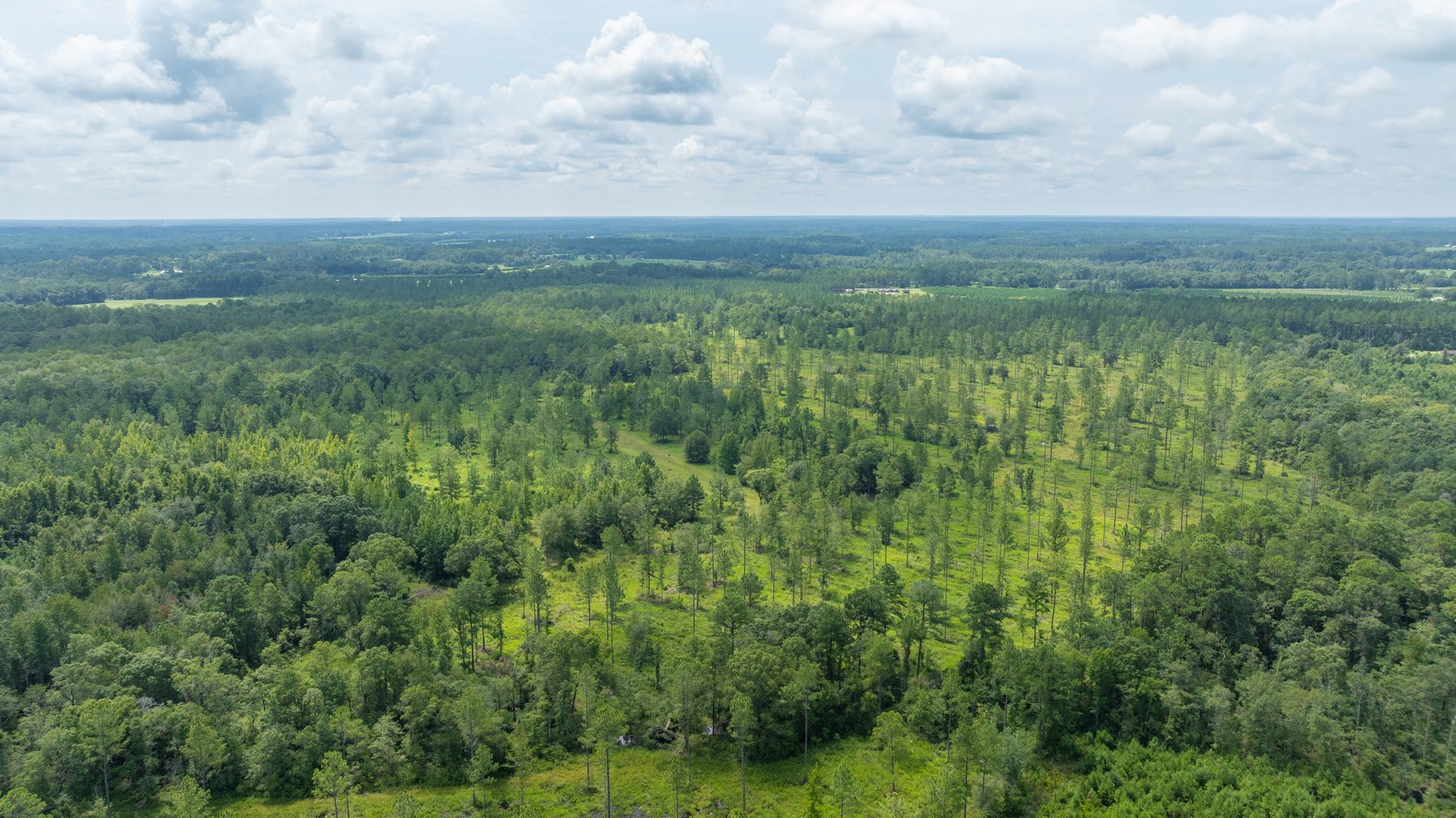 Image for 207+/- Acres in Lowndes County - Tremendous Development Potential