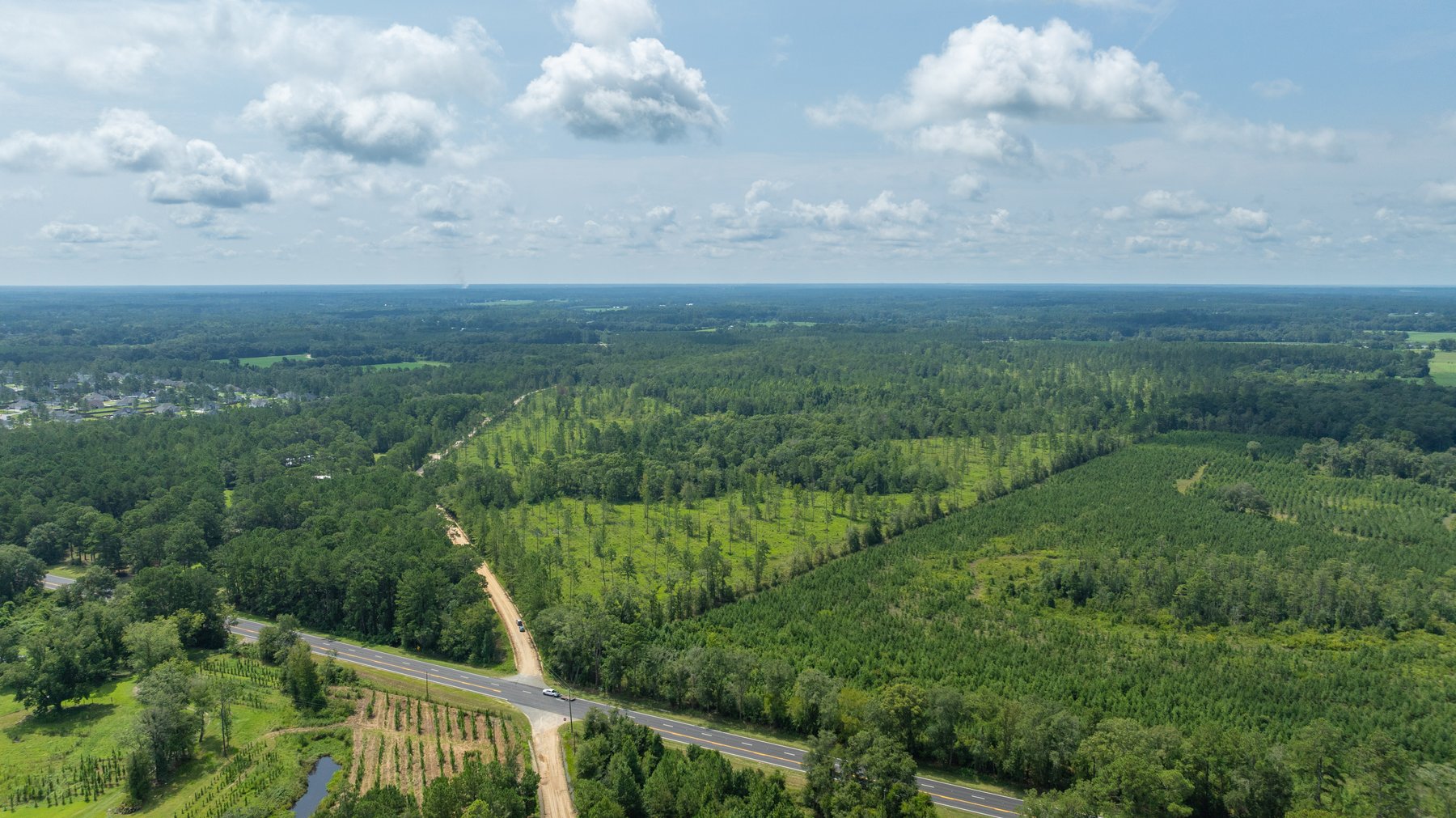 Image for 207+/- Acres in Lowndes County - Tremendous Development Potential