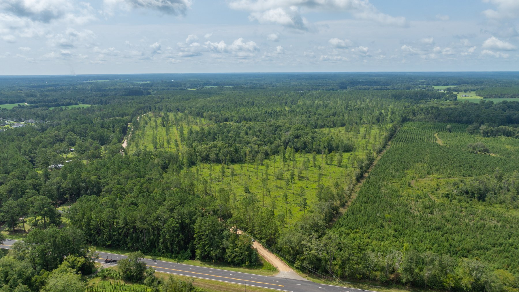 Image for 207+/- Acres in Lowndes County - Tremendous Development Potential