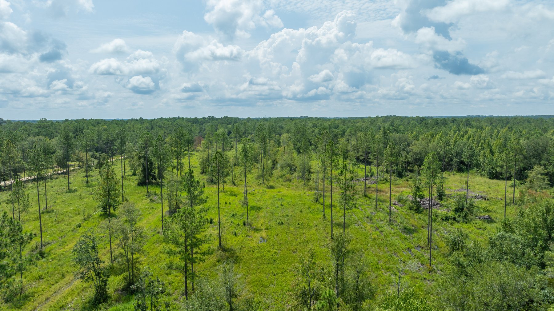 Image for 207+/- Acres in Lowndes County - Tremendous Development Potential