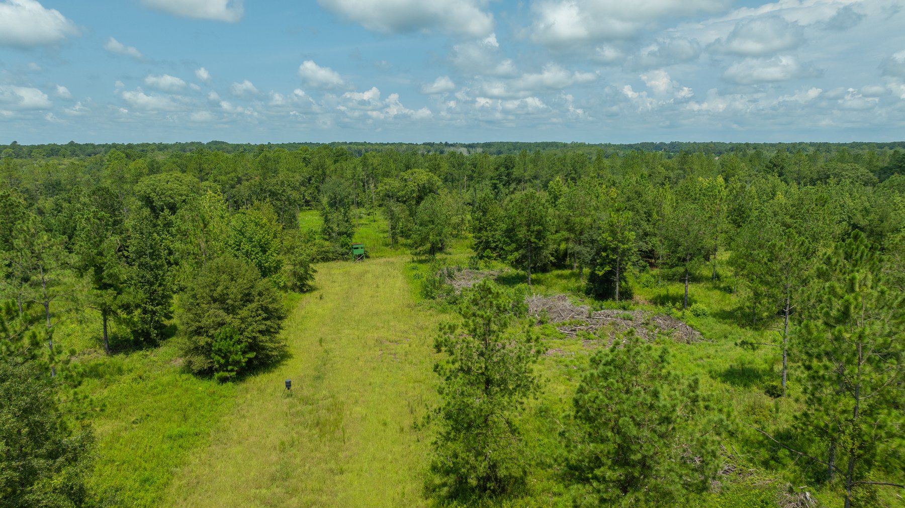 Image for 207+/- Acres in Lowndes County - Tremendous Development Potential