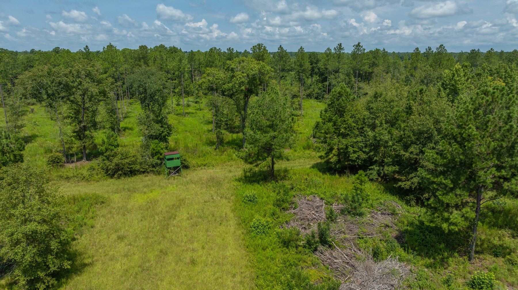 Image for 207+/- Acres in Lowndes County - Tremendous Development Potential
