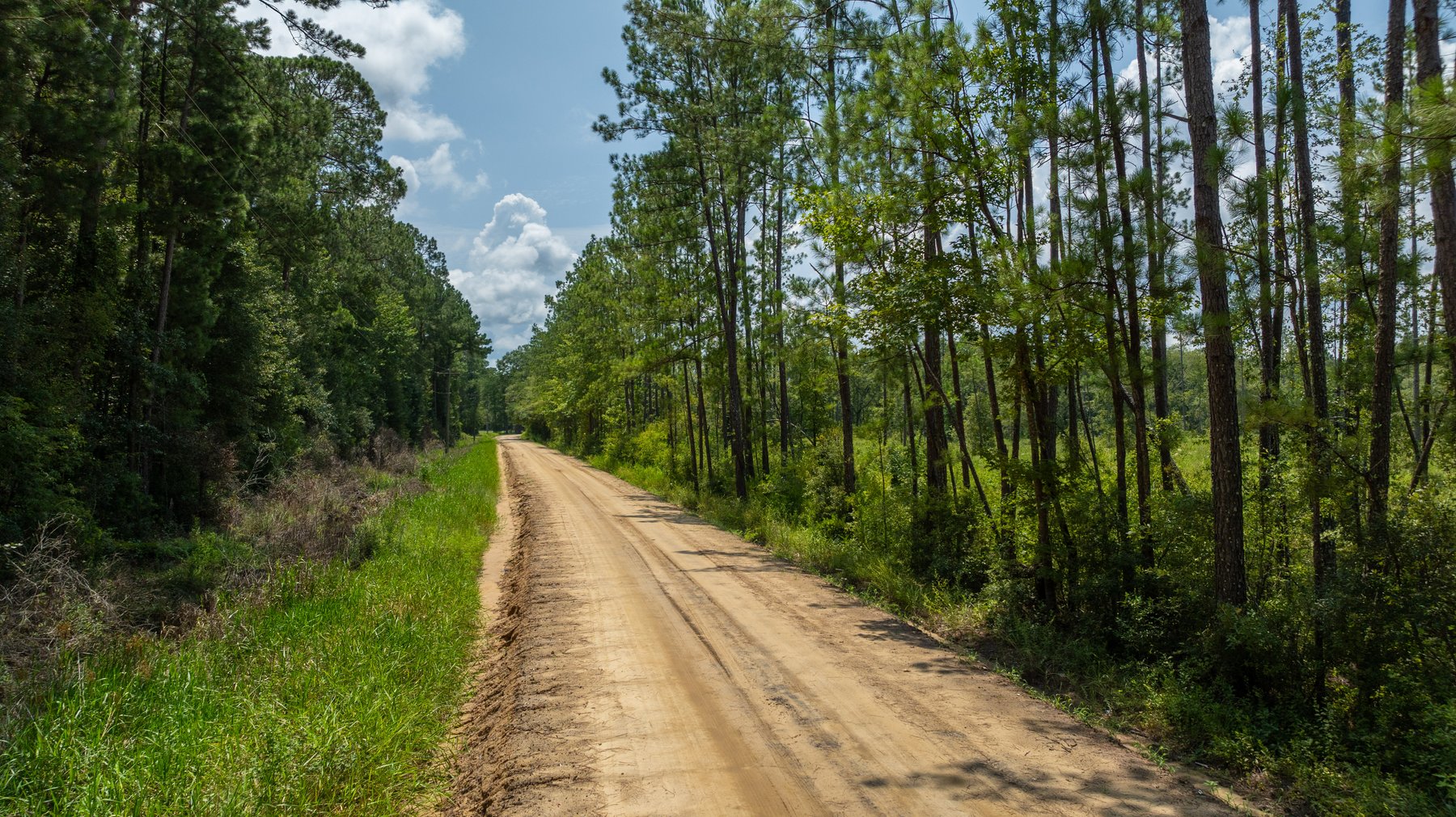 Image for 207+/- Acres in Lowndes County - Tremendous Development Potential