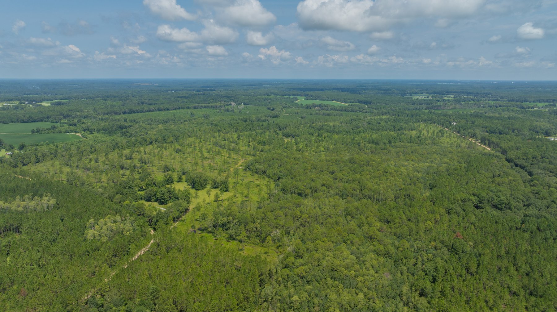 Image for 207+/- Acres in Lowndes County - Tremendous Development Potential