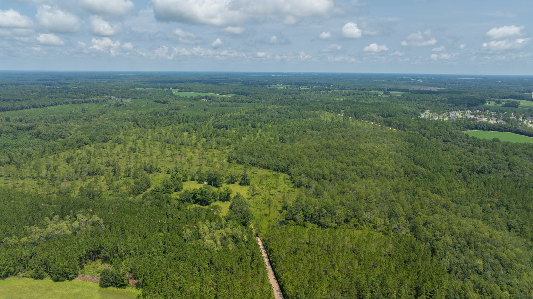 Image for 207+/- Acres in Lowndes County - Tremendous Development Potential