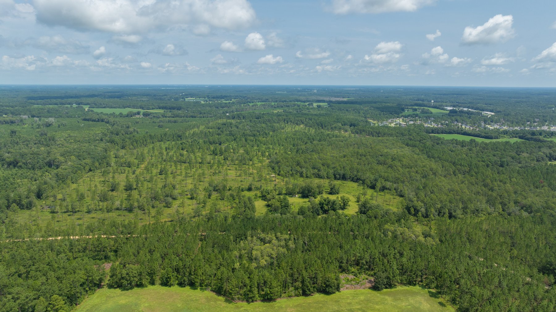 Image for 207+/- Acres in Lowndes County - Tremendous Development Potential