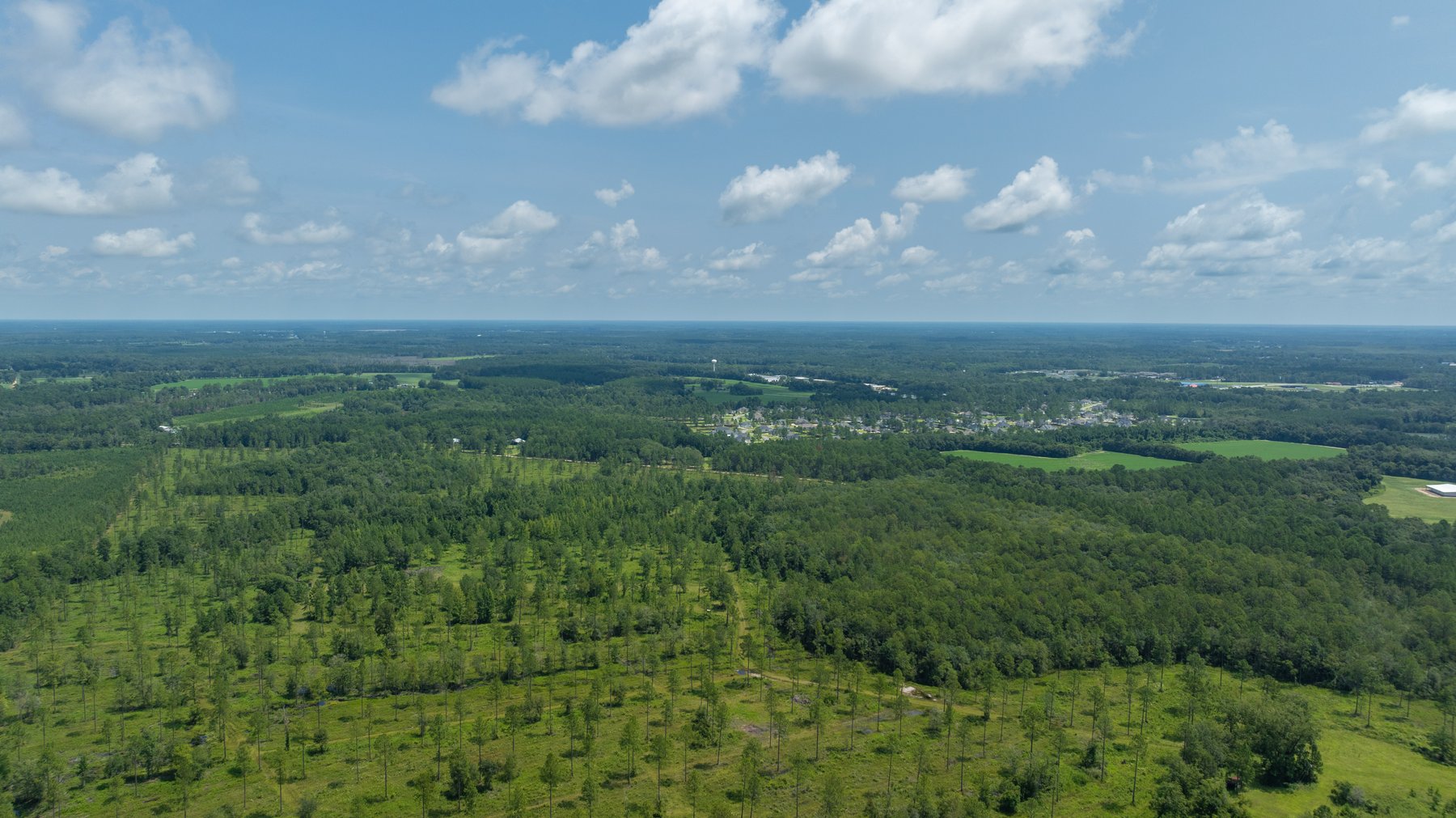 Image for 207+/- Acres in Lowndes County - Tremendous Development Potential