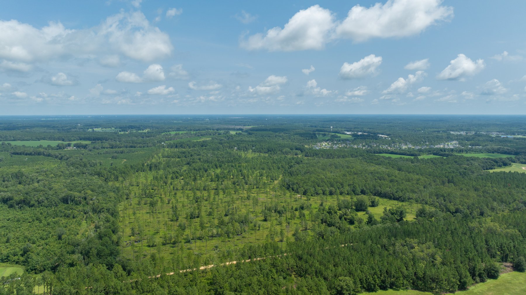 Image for 207+/- Acres in Lowndes County - Tremendous Development Potential