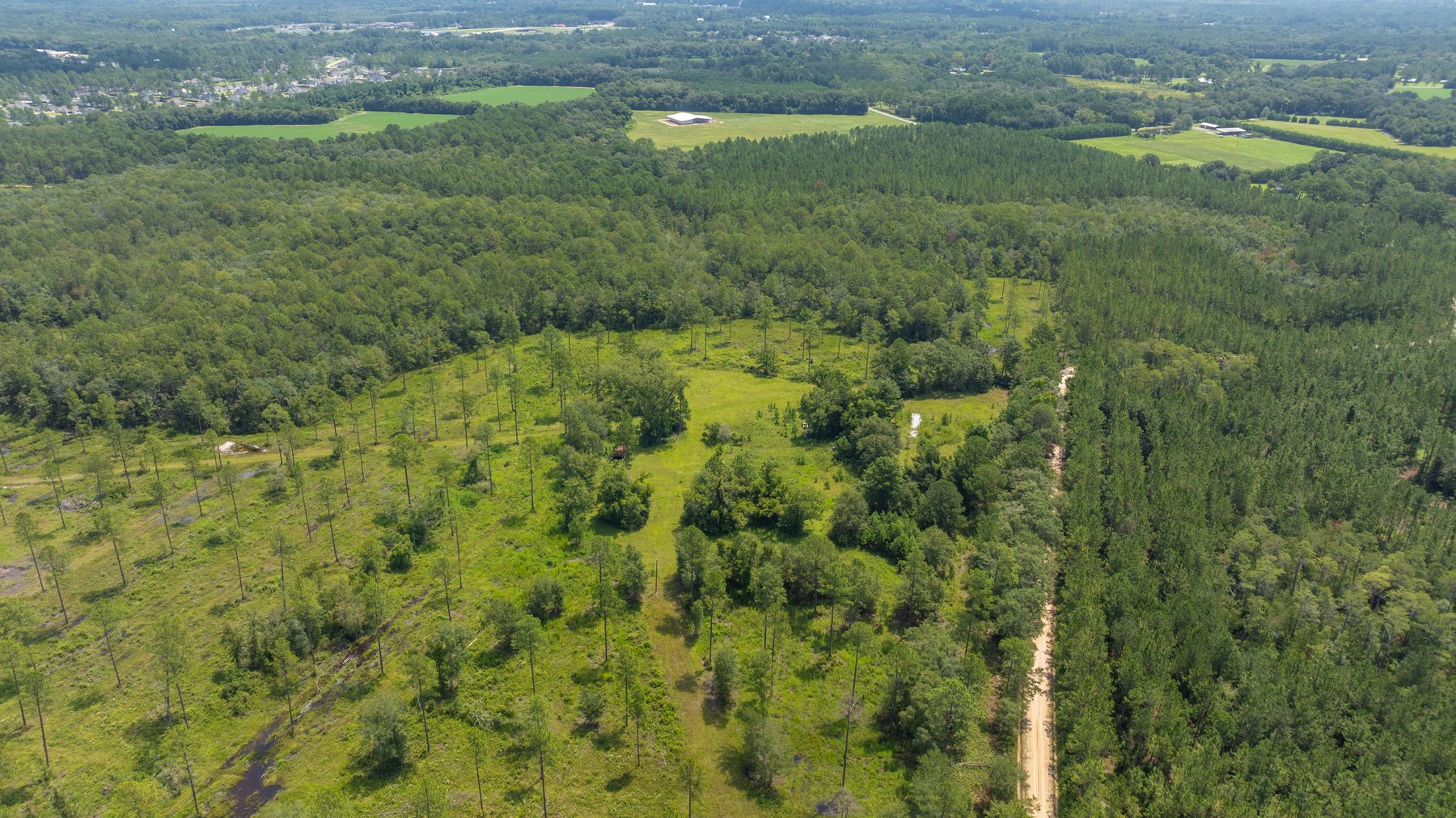 Image for 207+/- Acres in Lowndes County - Tremendous Development Potential