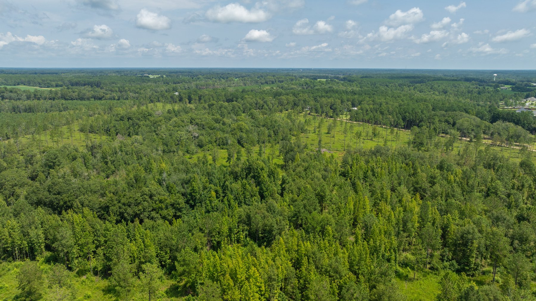 Image for 207+/- Acres in Lowndes County - Tremendous Development Potential