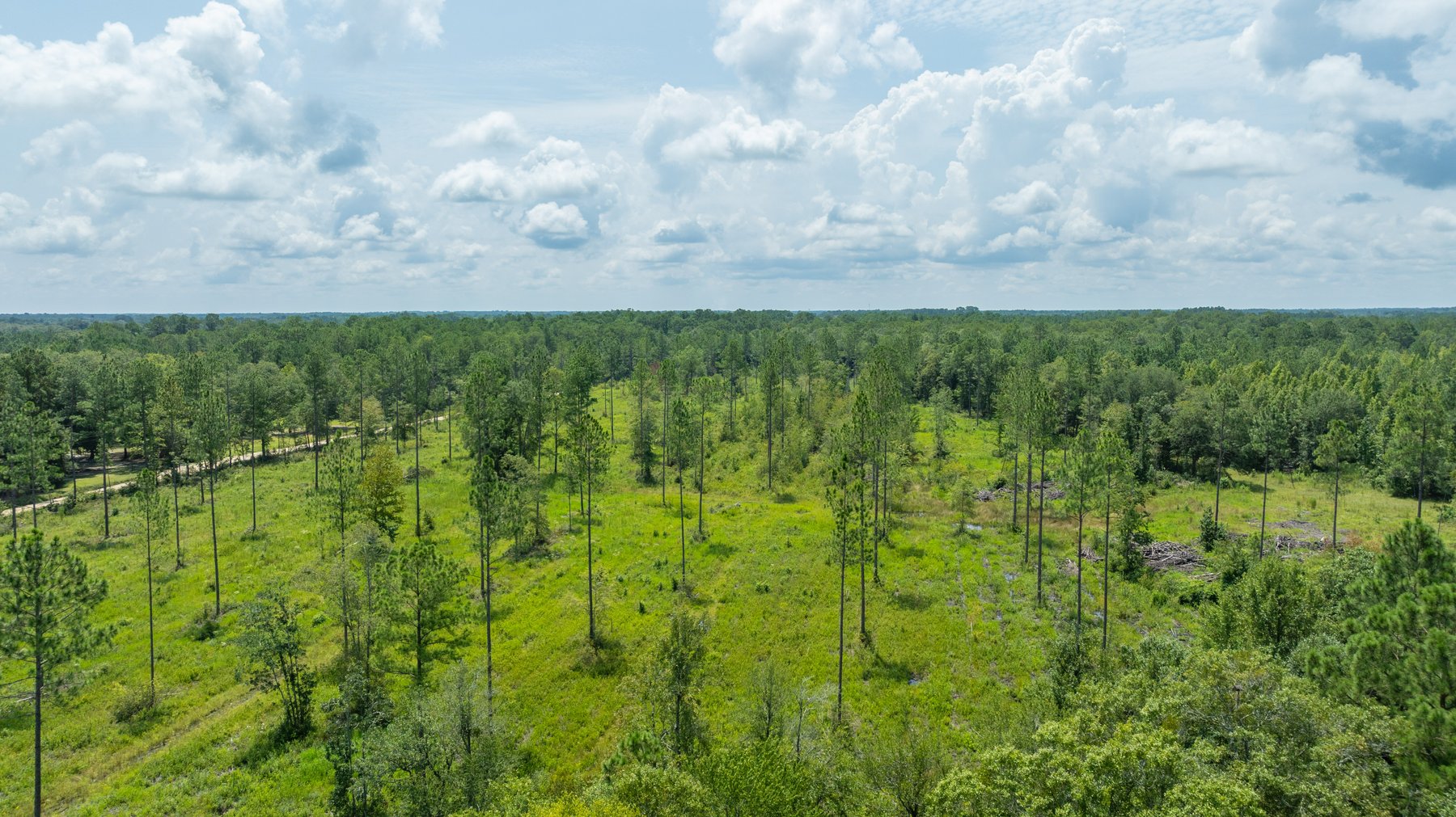 Image for 207+/- Acres in Lowndes County - Tremendous Development Potential