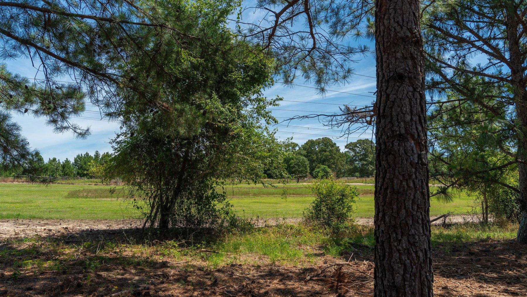 Image for Charming 25+/- Acre Estate in the Heart of Byron, Georgia