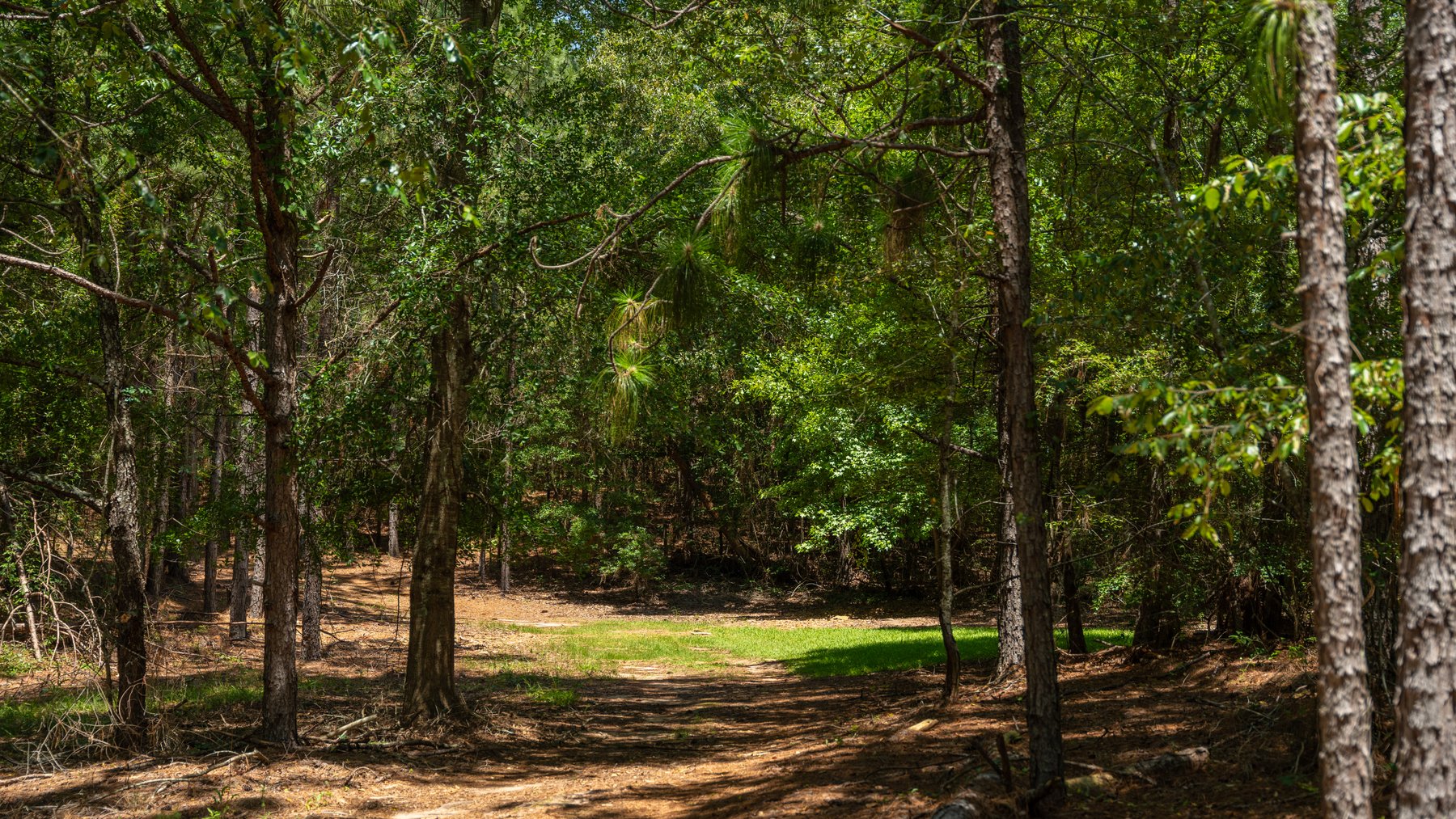 Image for Charming 25+/- Acre Estate in the Heart of Byron, Georgia