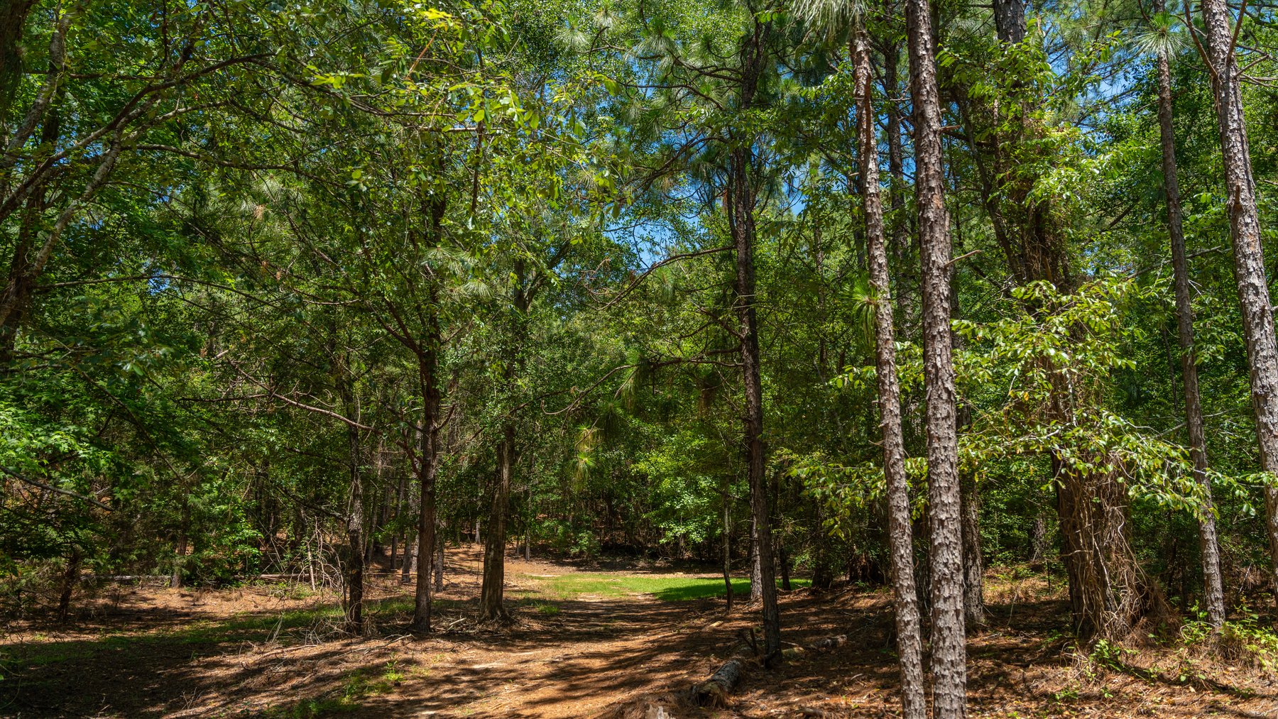 Image for Charming 25+/- Acre Estate in the Heart of Byron, Georgia