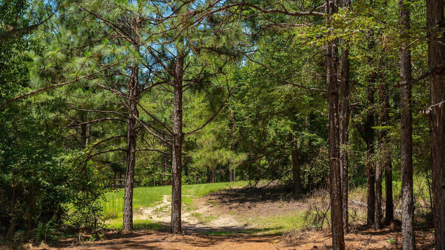 Image for Charming 25+/- Acre Estate in the Heart of Byron, Georgia