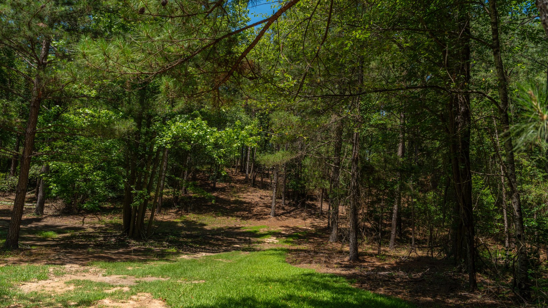 Image for Charming 25+/- Acre Estate in the Heart of Byron, Georgia