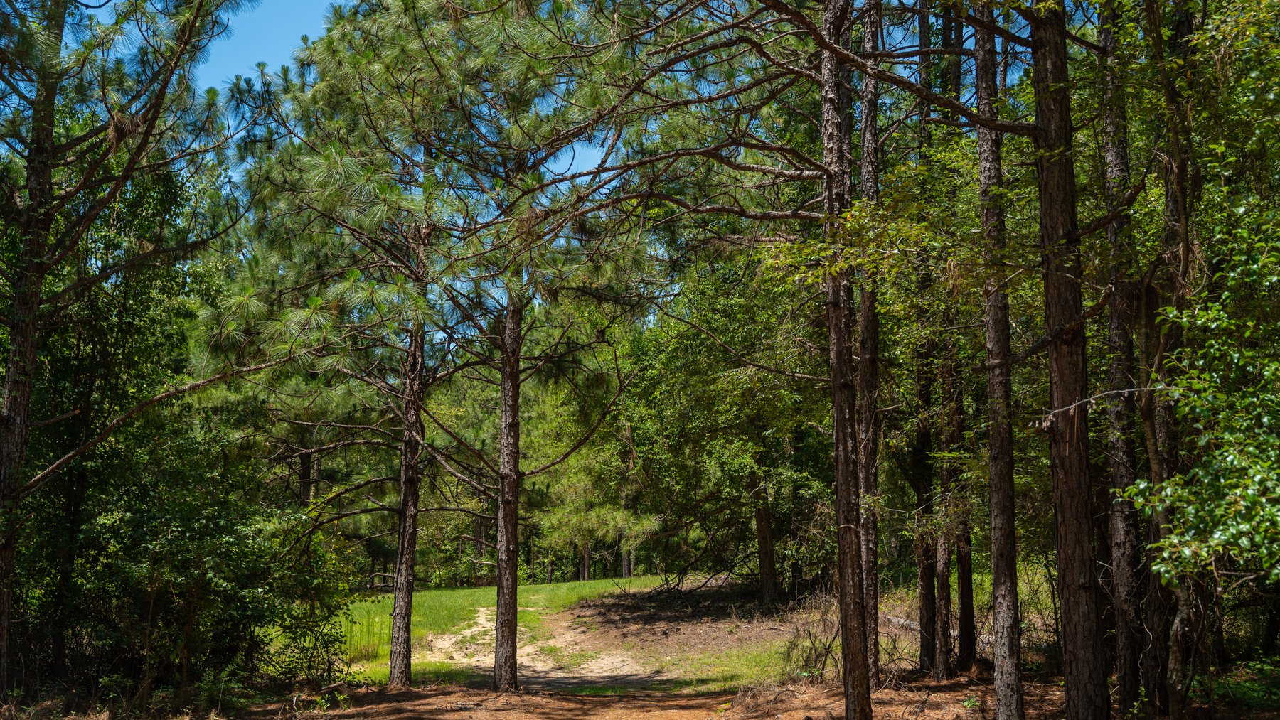 Image for Charming 25+/- Acre Estate in the Heart of Byron, Georgia