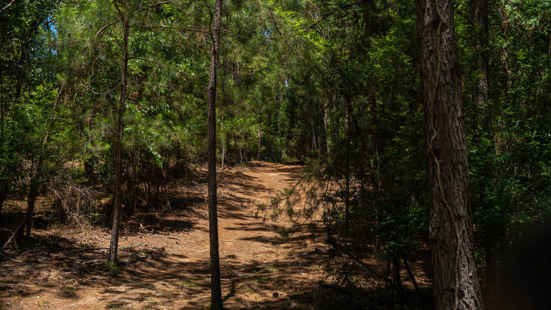 Image for Charming 25+/- Acre Estate in the Heart of Byron, Georgia