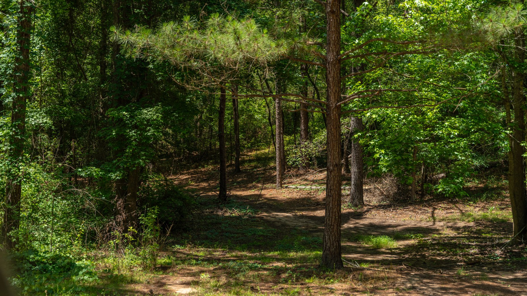 Image for Charming 25+/- Acre Estate in the Heart of Byron, Georgia