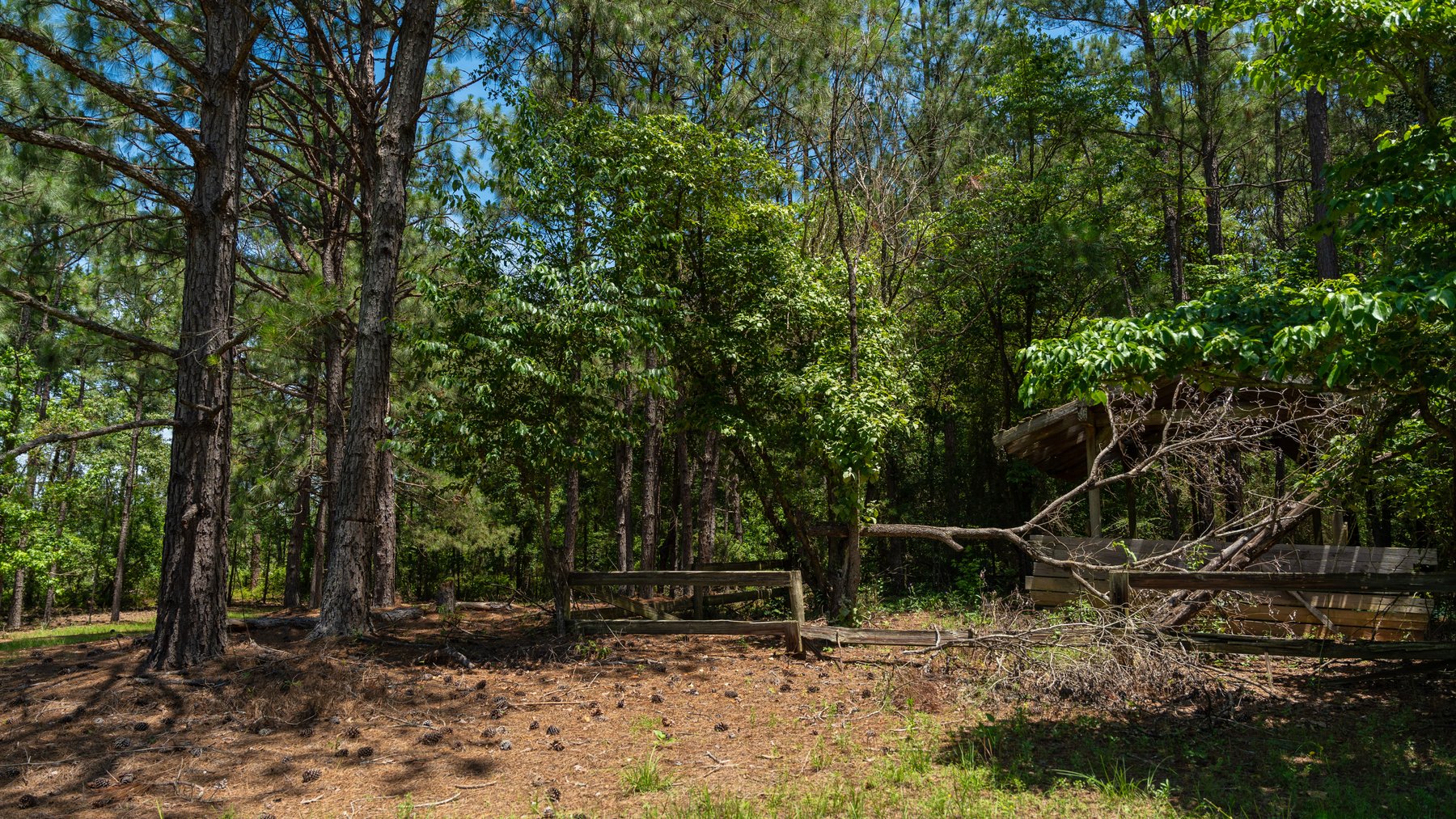Image for Charming 25+/- Acre Estate in the Heart of Byron, Georgia