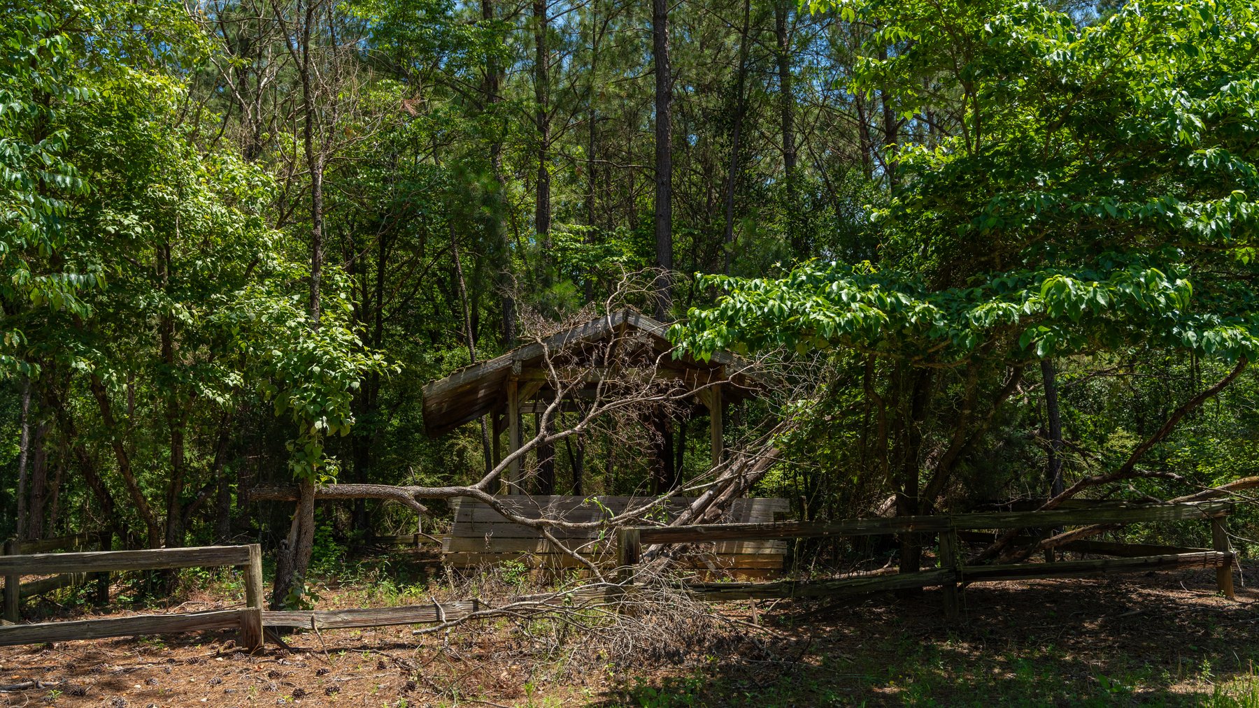 Image for Charming 25+/- Acre Estate in the Heart of Byron, Georgia