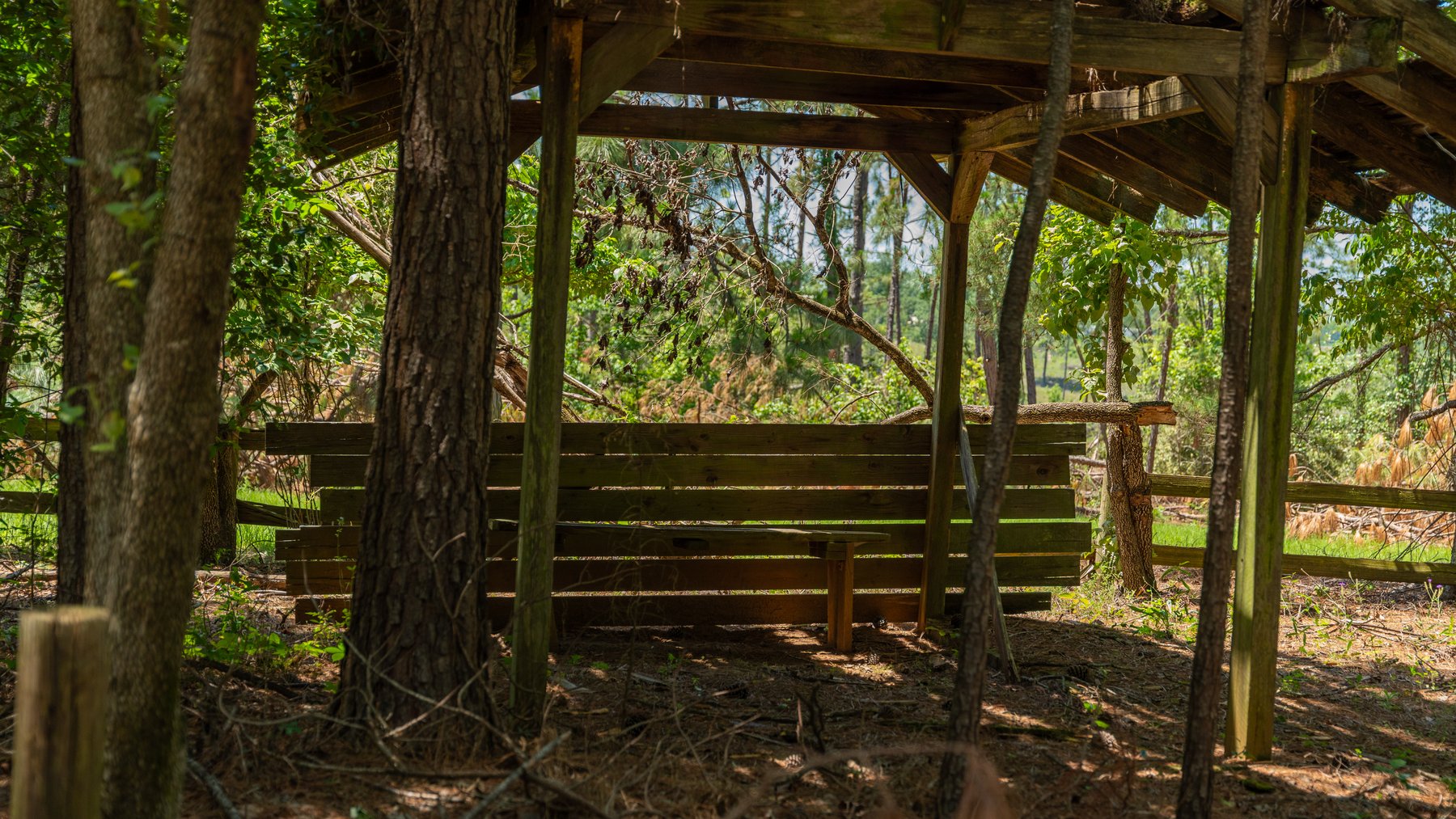 Image for Charming 25+/- Acre Estate in the Heart of Byron, Georgia