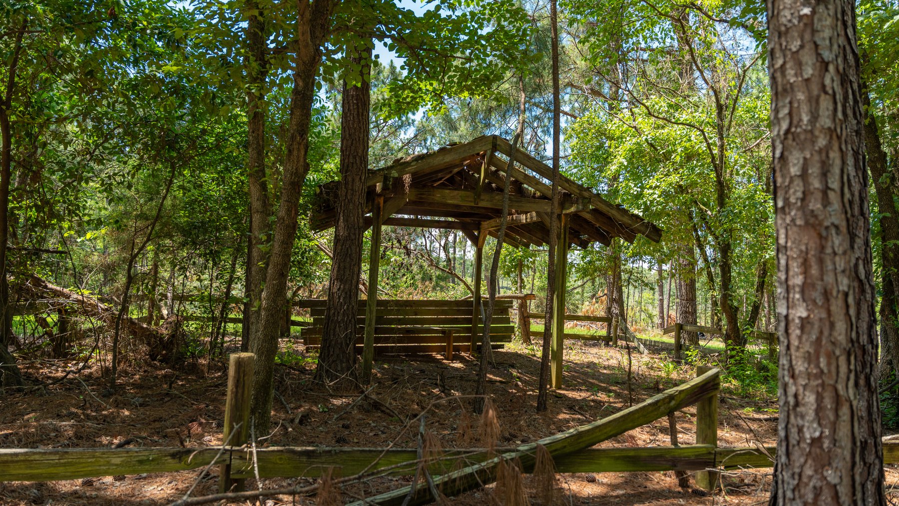 Image for Charming 25+/- Acre Estate in the Heart of Byron, Georgia