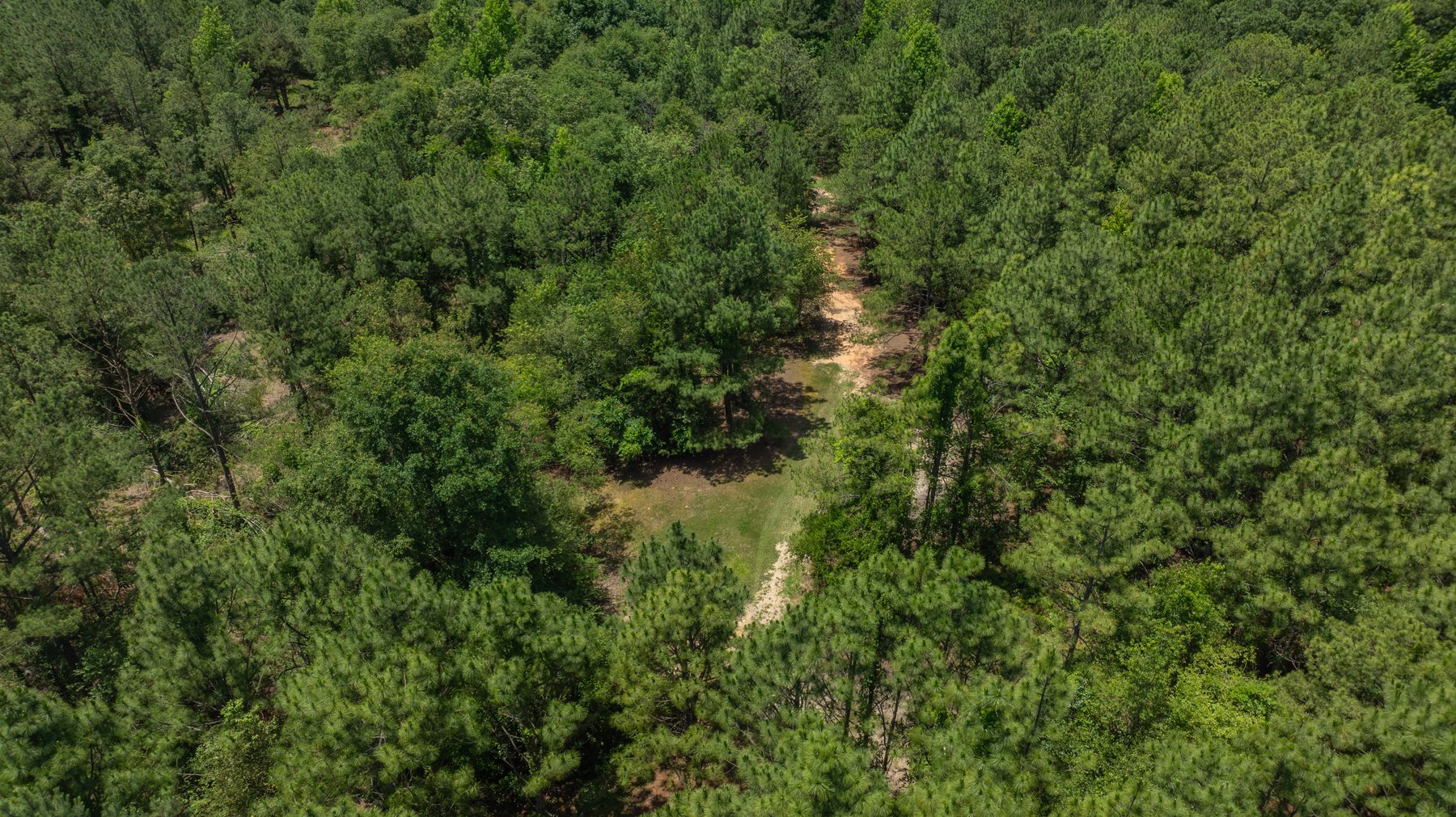 Image for Charming 25+/- Acre Estate in the Heart of Byron, Georgia