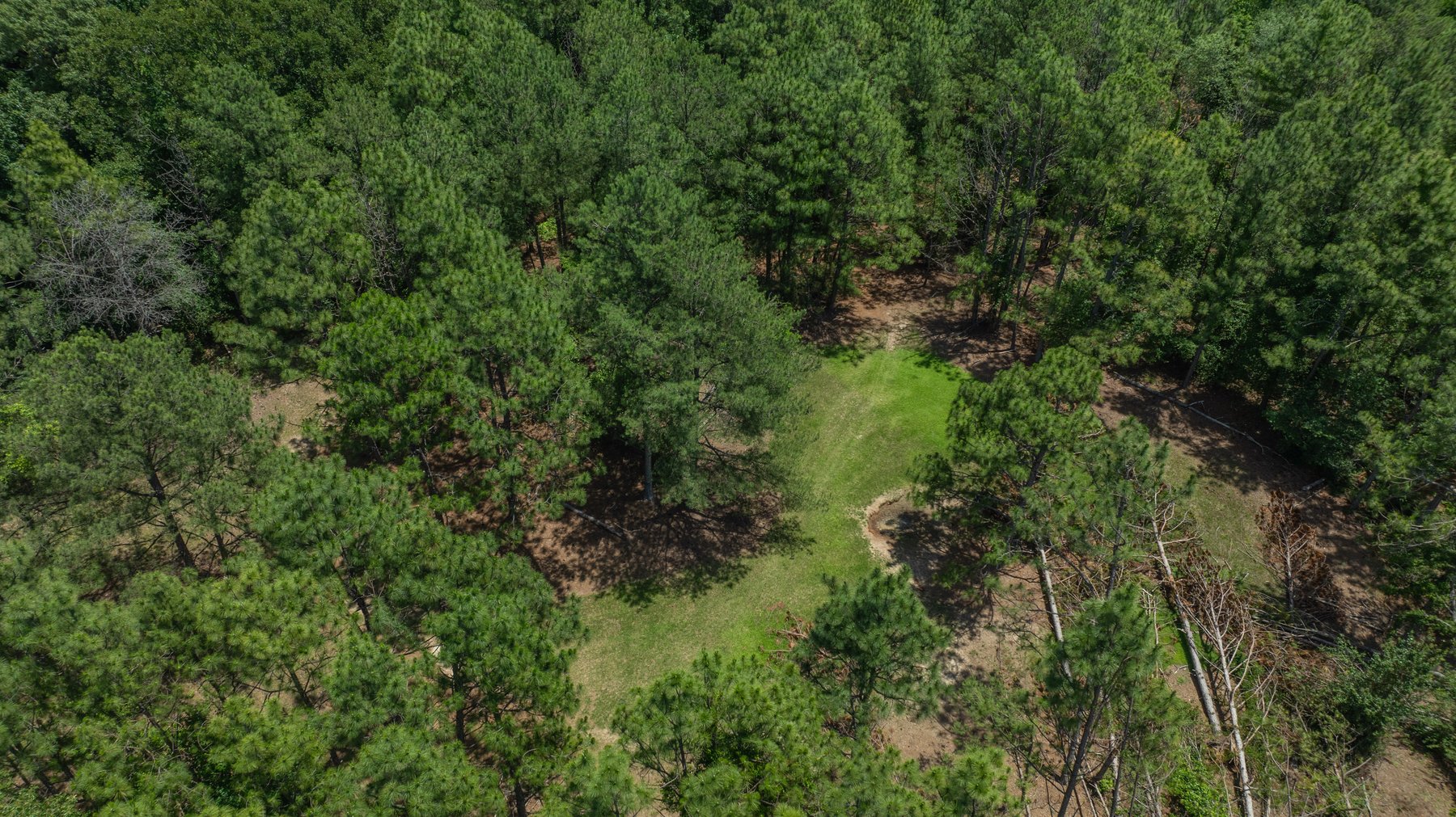 Image for Charming 25+/- Acre Estate in the Heart of Byron, Georgia