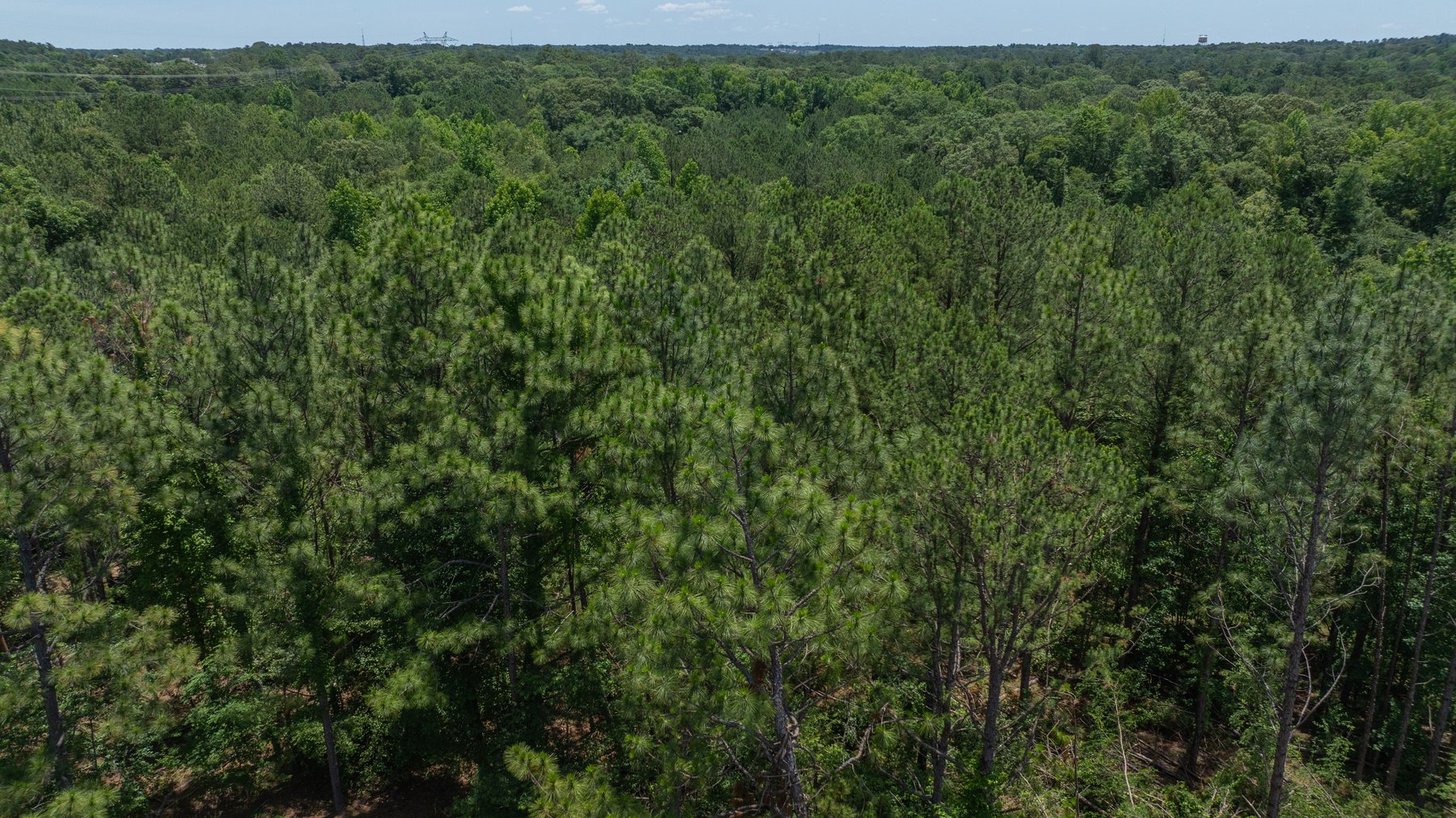 Image for Charming 25+/- Acre Estate in the Heart of Byron, Georgia