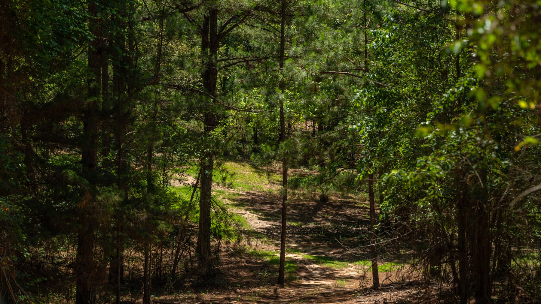 Image for Charming 25+/- Acre Estate in the Heart of Byron, Georgia