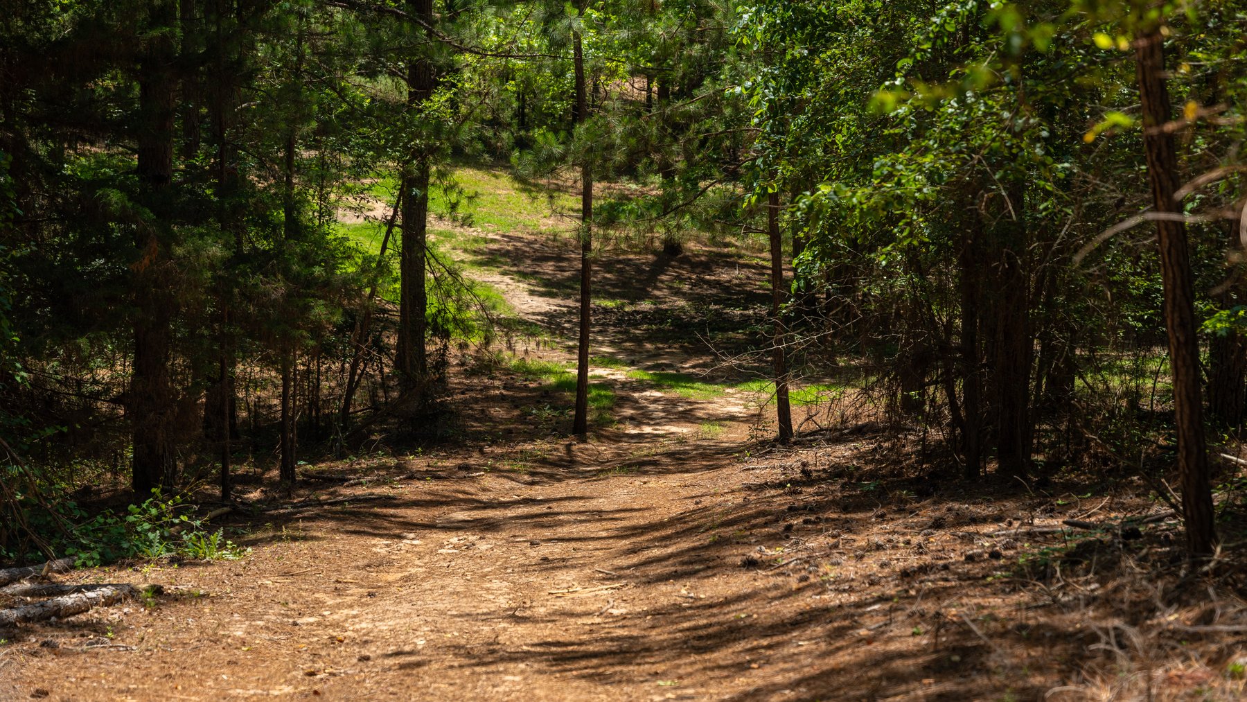 Image for Charming 25+/- Acre Estate in the Heart of Byron, Georgia