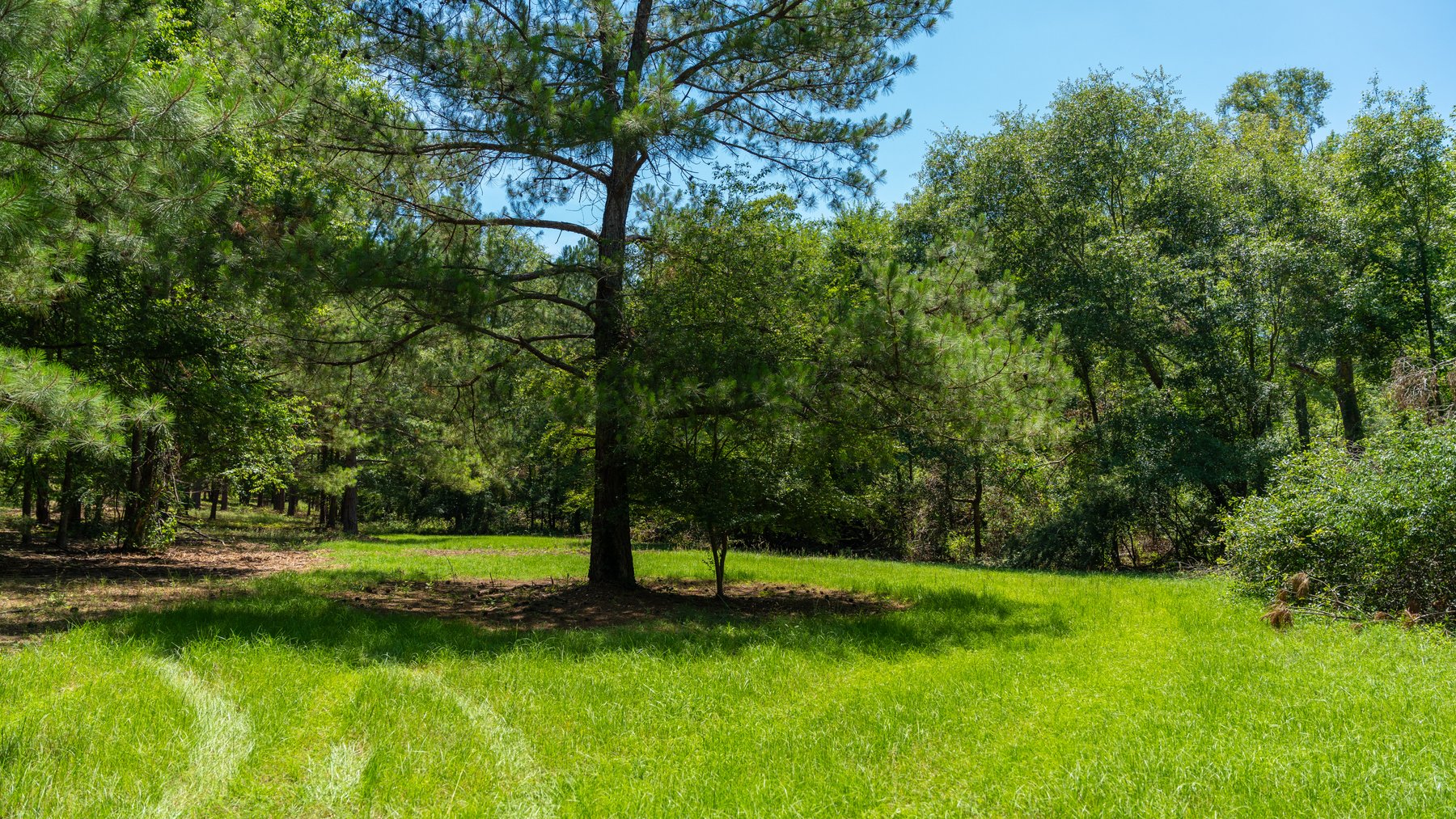 Image for Charming 25+/- Acre Estate in the Heart of Byron, Georgia