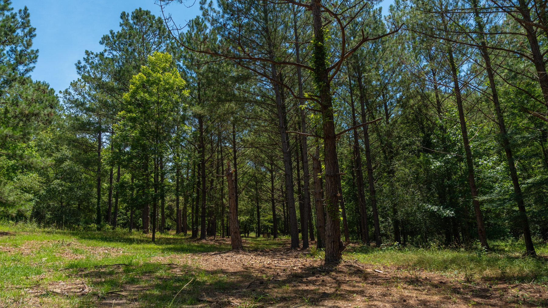 Image for Charming 25+/- Acre Estate in the Heart of Byron, Georgia