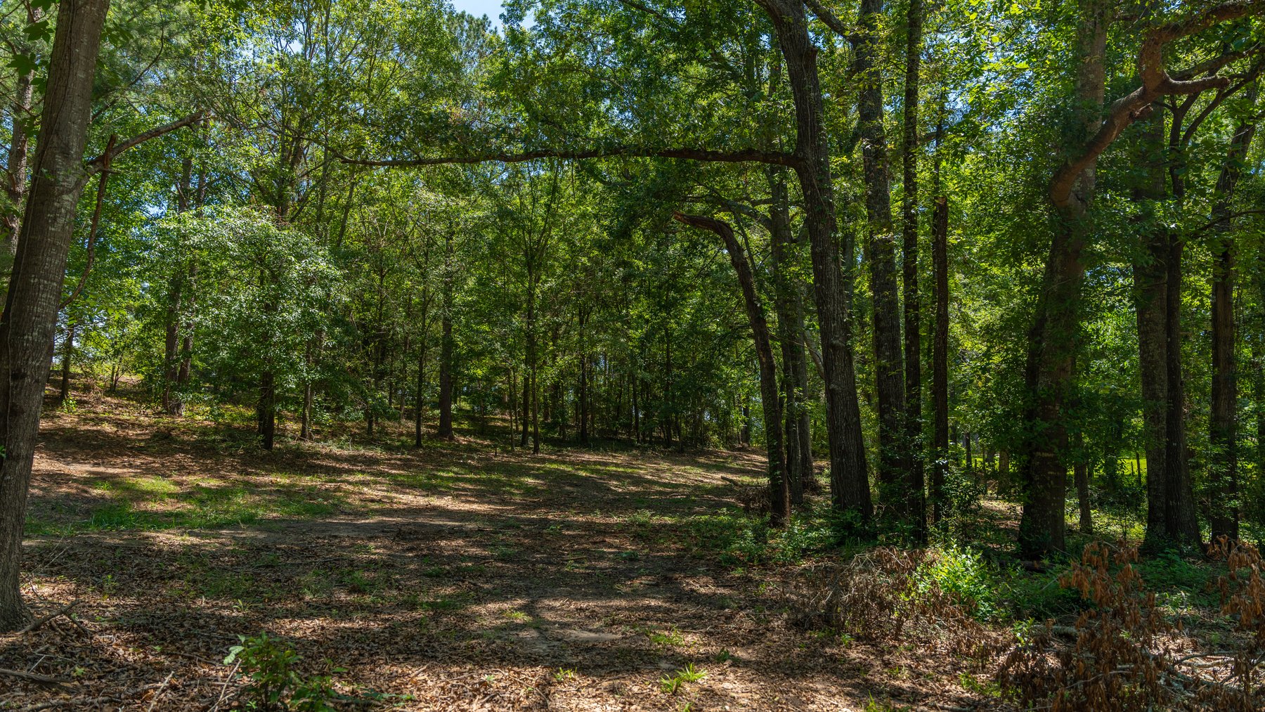 Image for Charming 25+/- Acre Estate in the Heart of Byron, Georgia