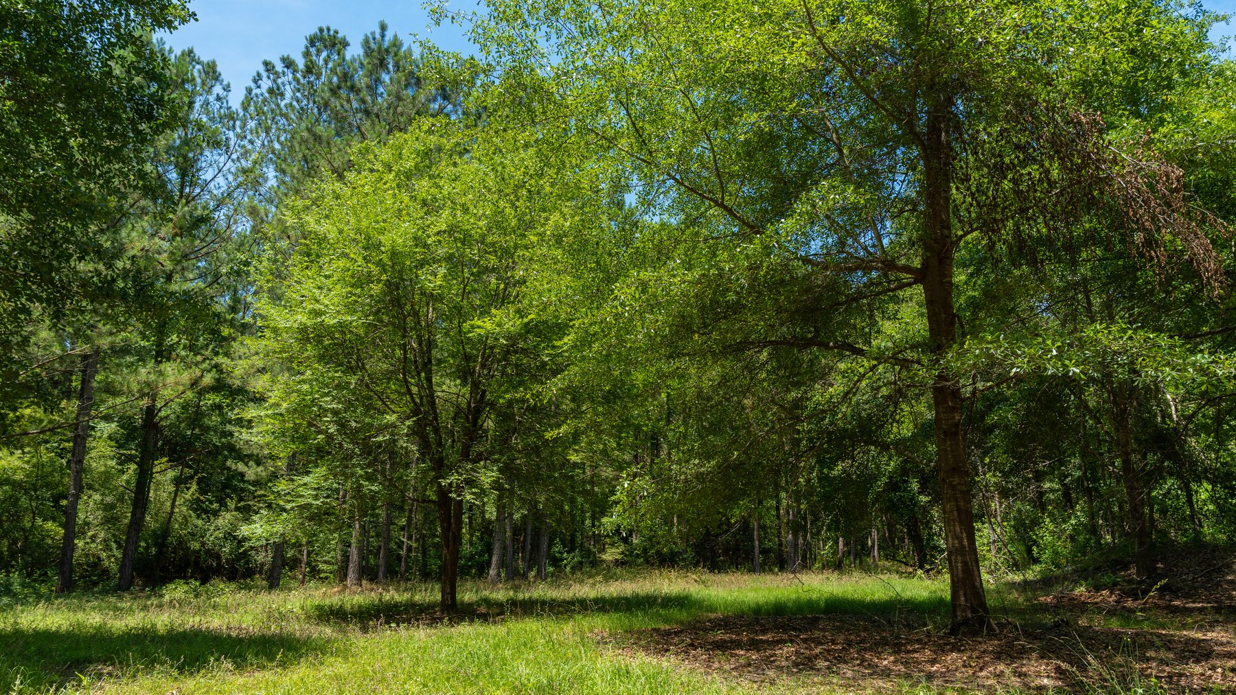 Image for Charming 25+/- Acre Estate in the Heart of Byron, Georgia