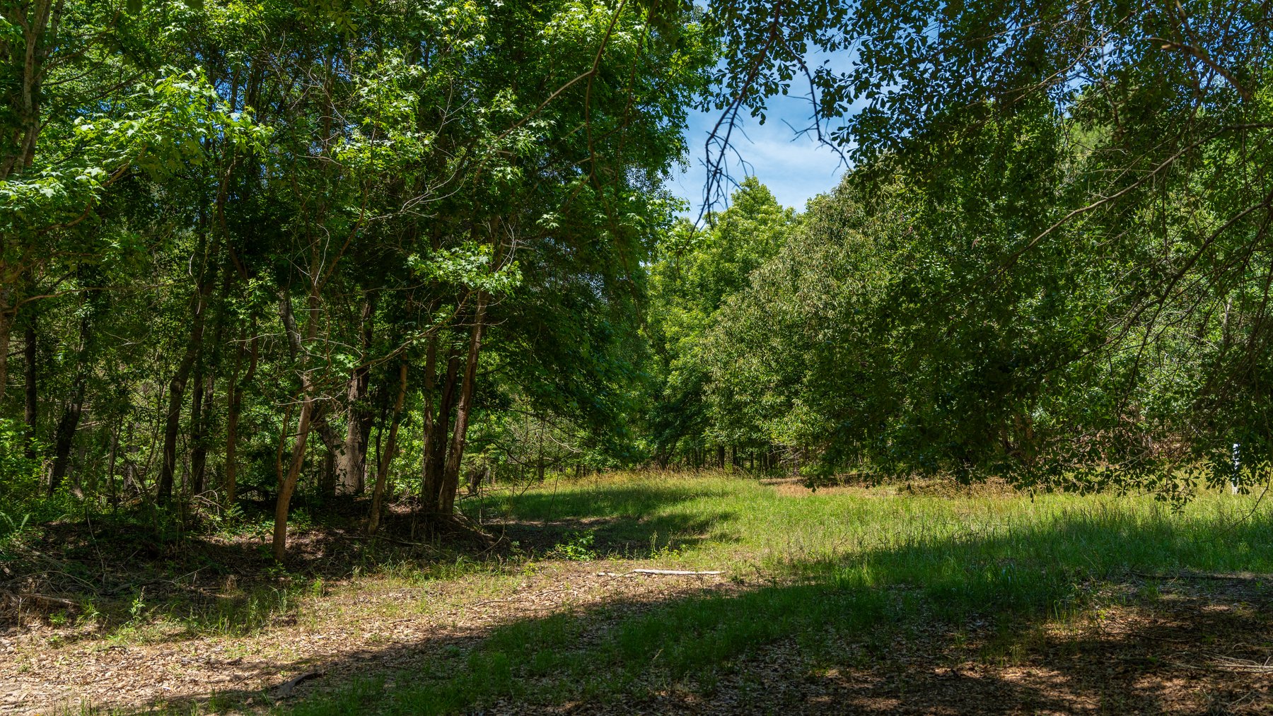 Image for Charming 25+/- Acre Estate in the Heart of Byron, Georgia