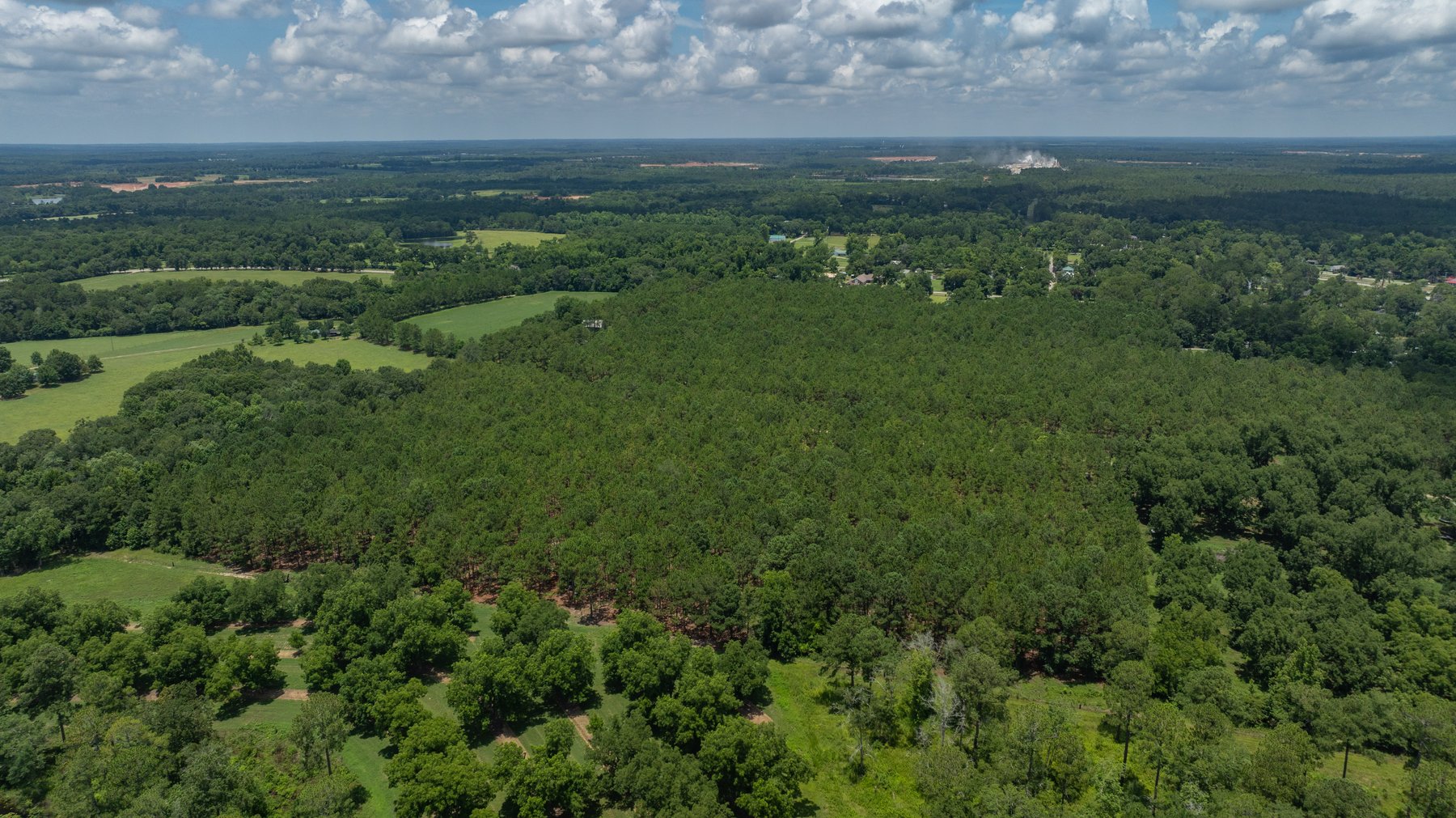Image for 25.79+/- Acres in Thomas County, Georgia - Residential Development Potential