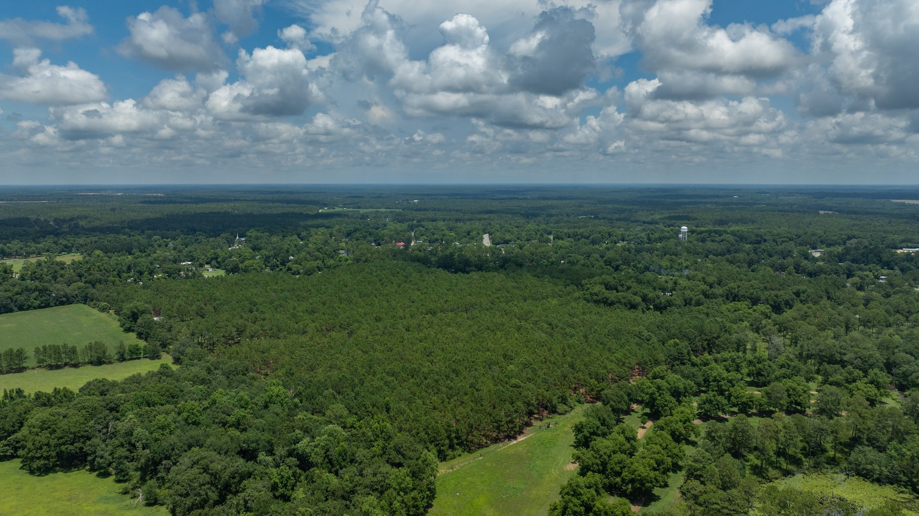 Image for 25.79+/- Acres in Thomas County, Georgia - Residential Development Potential