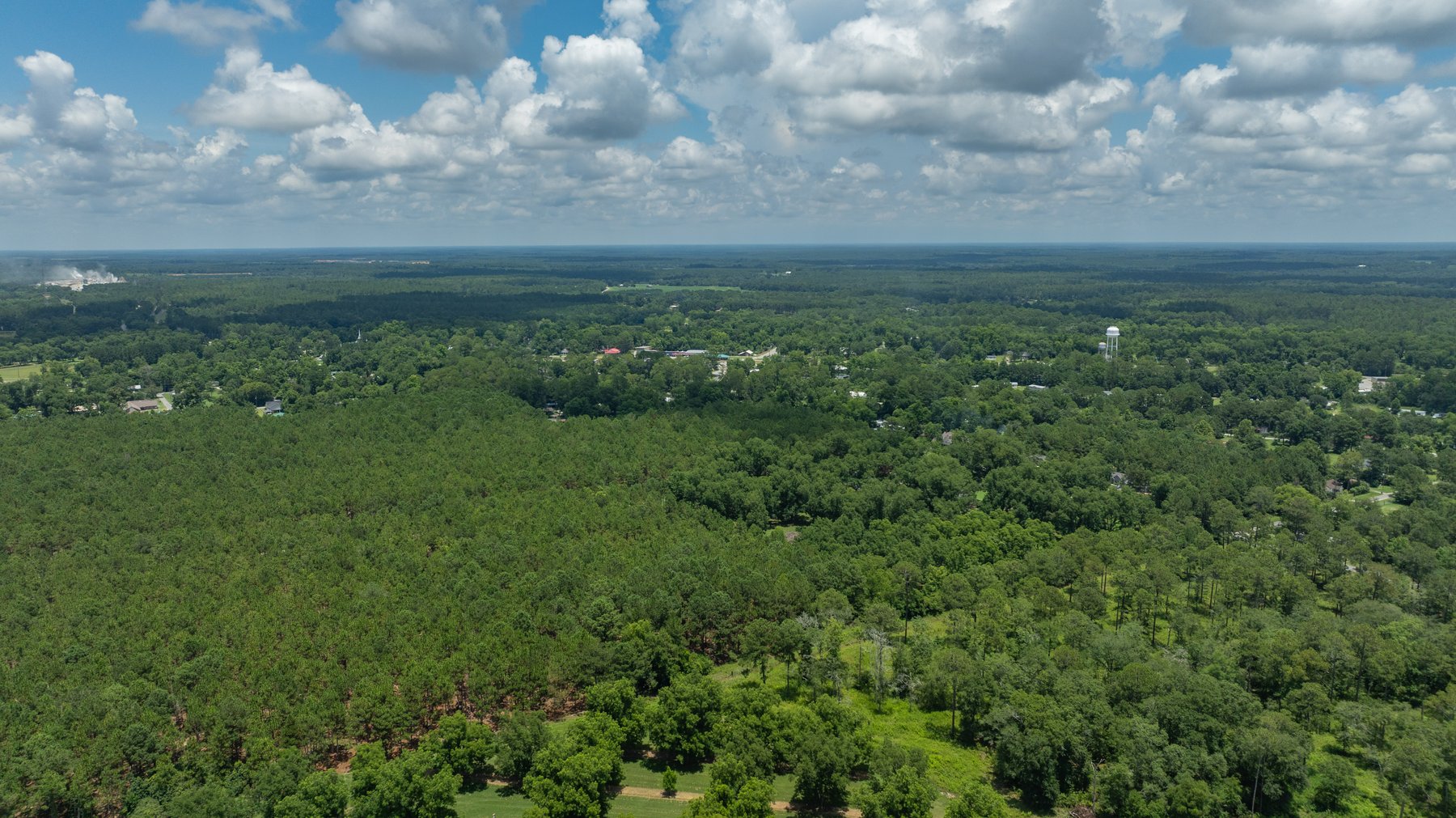 Image for 25.79+/- Acres in Thomas County, Georgia - Residential Development Potential