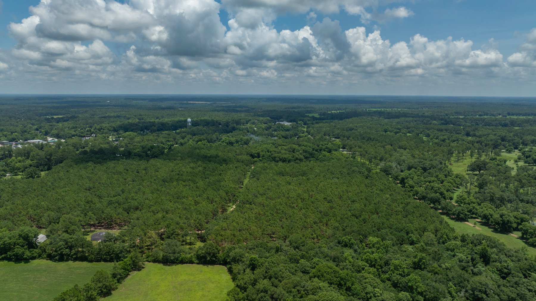 Image for 25.79+/- Acres in Thomas County, Georgia - Residential Development Potential