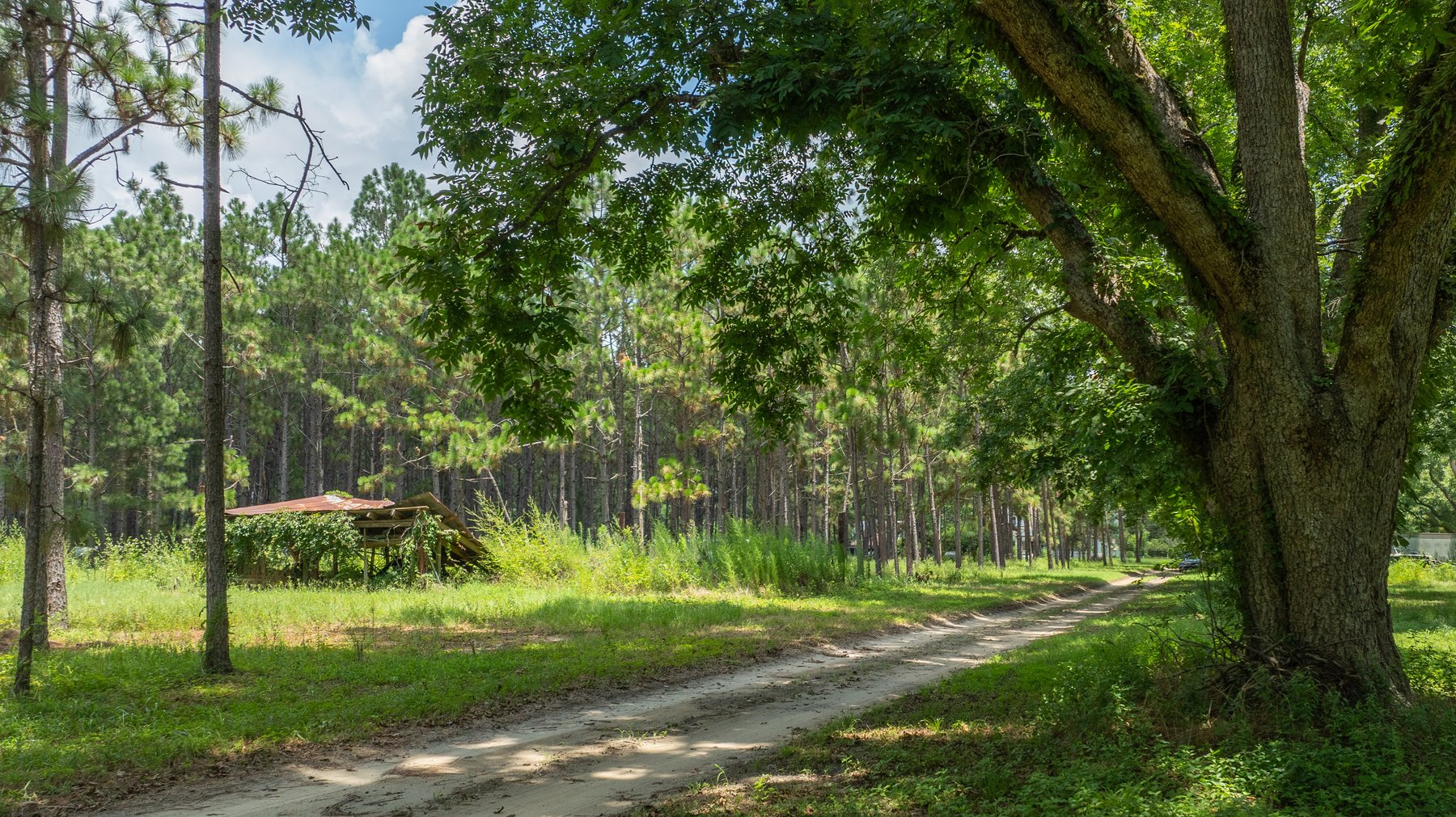 Image for 25.79+/- Acres in Thomas County, Georgia - Residential Development Potential