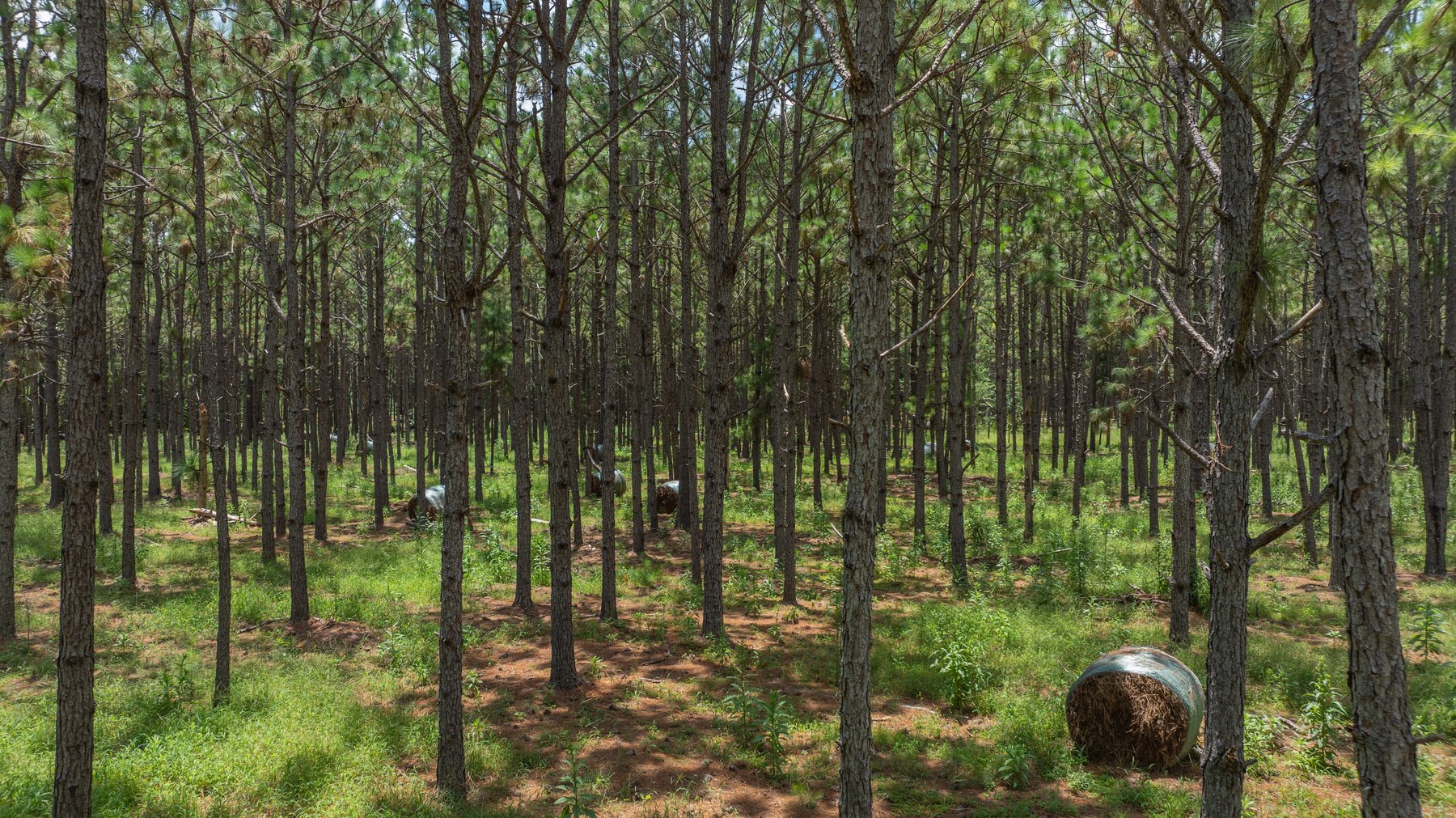 Image for 25.79+/- Acres in Thomas County, Georgia - Residential Development Potential