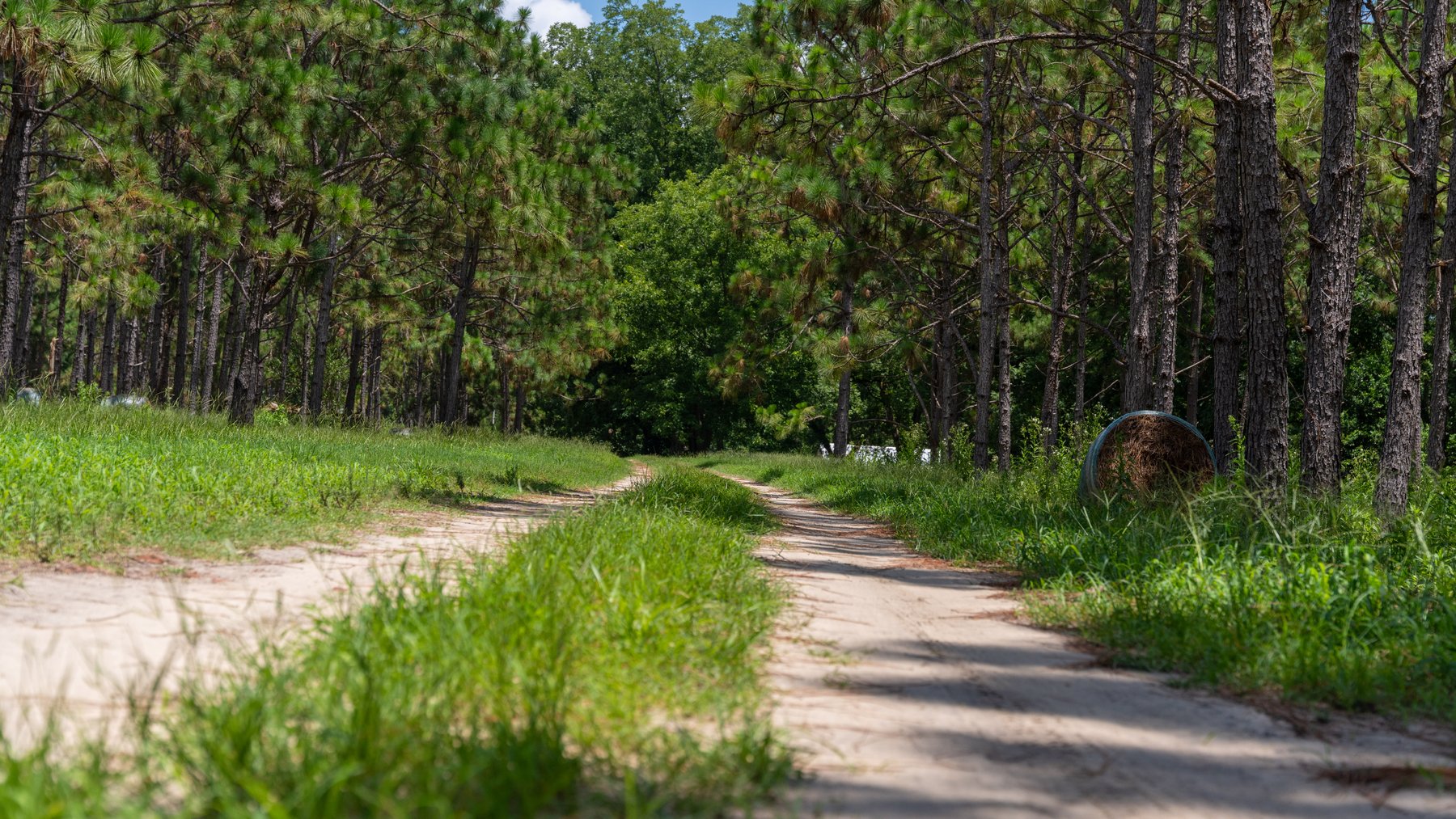 Image for 25.79+/- Acres in Thomas County, Georgia - Residential Development Potential