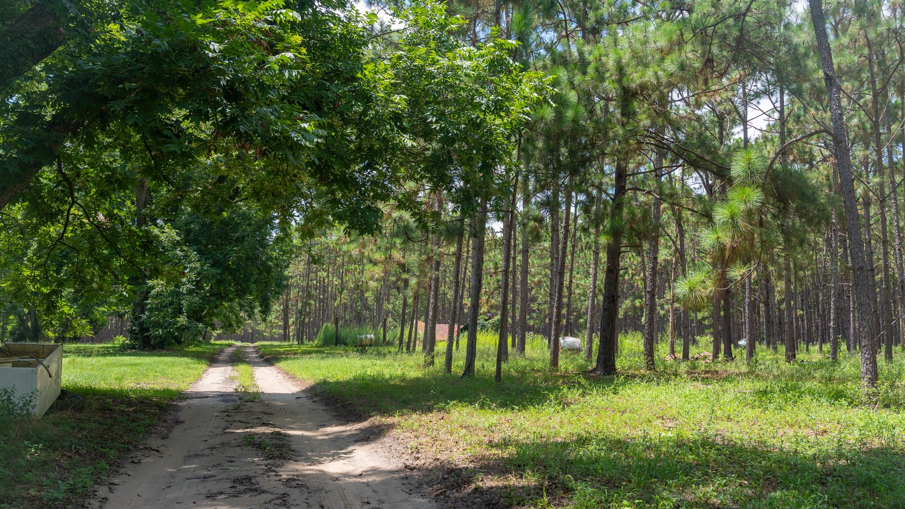 Image for 25.79+/- Acres in Thomas County, Georgia - Residential Development Potential